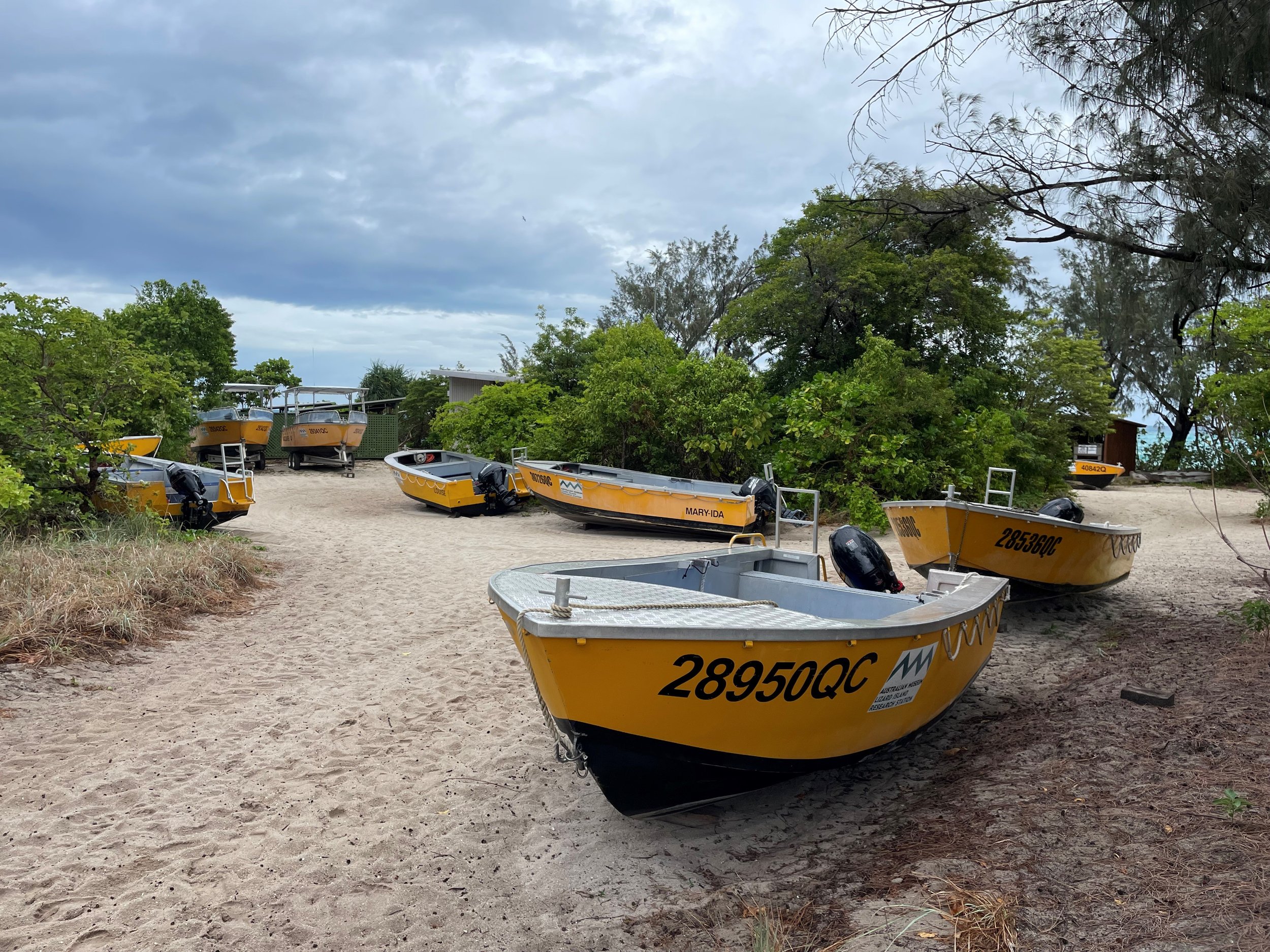  LIRS has twelve research dinghies for use around the island and three larger boats for travel to inshore reefs and the outer barrier reefs. When cyclones approach, all boats need to be taken out of the water. This photo shows some of the research di