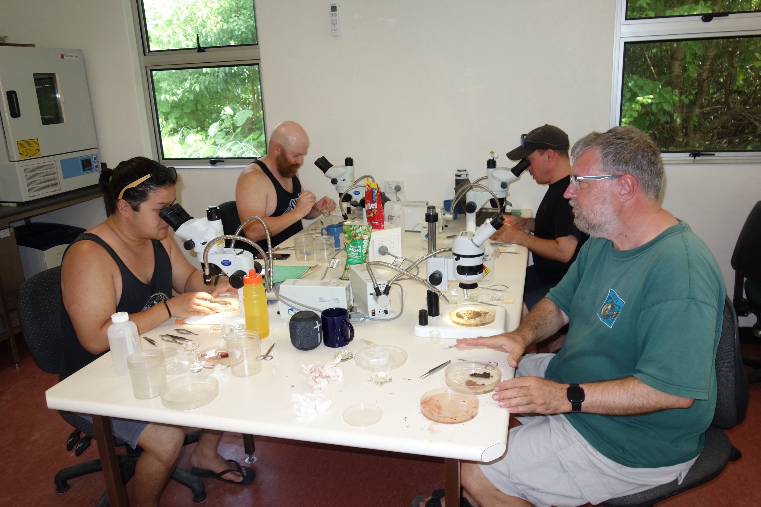  LIRS has 20 microscopes and 15 light sources, each of which has to be maintained in top working condition. This photo shows a typical laboratory scene with people using microscopes.  