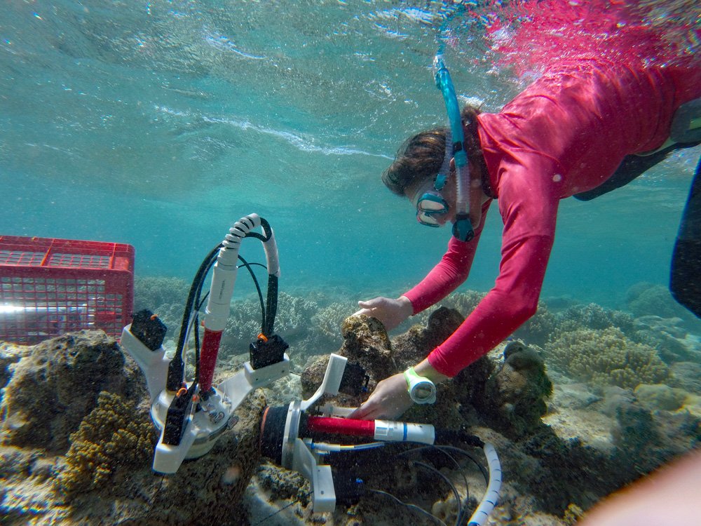  Up to 4,000 dives per annum take place at LIRS. Every research project has its own requirements in terms of the reef environment and the equipment required. These two photos show fellowship recipients spending another hard day at the office!  
