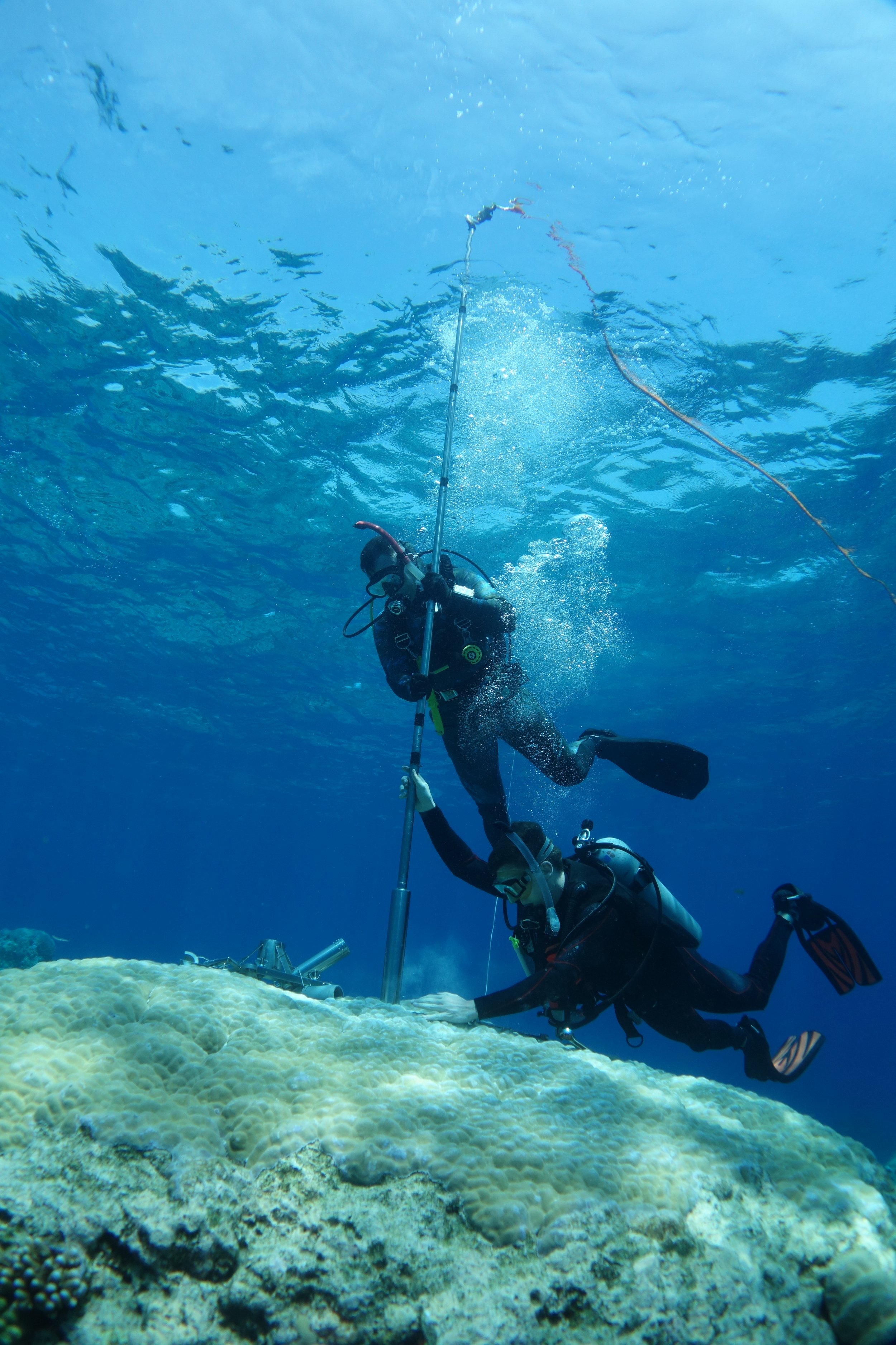  Up to 4,000 dives per annum take place at LIRS. Every research project has its own requirements in terms of the reef environment and the equipment required. These two photos show fellowship recipients spending another hard day at the office!  