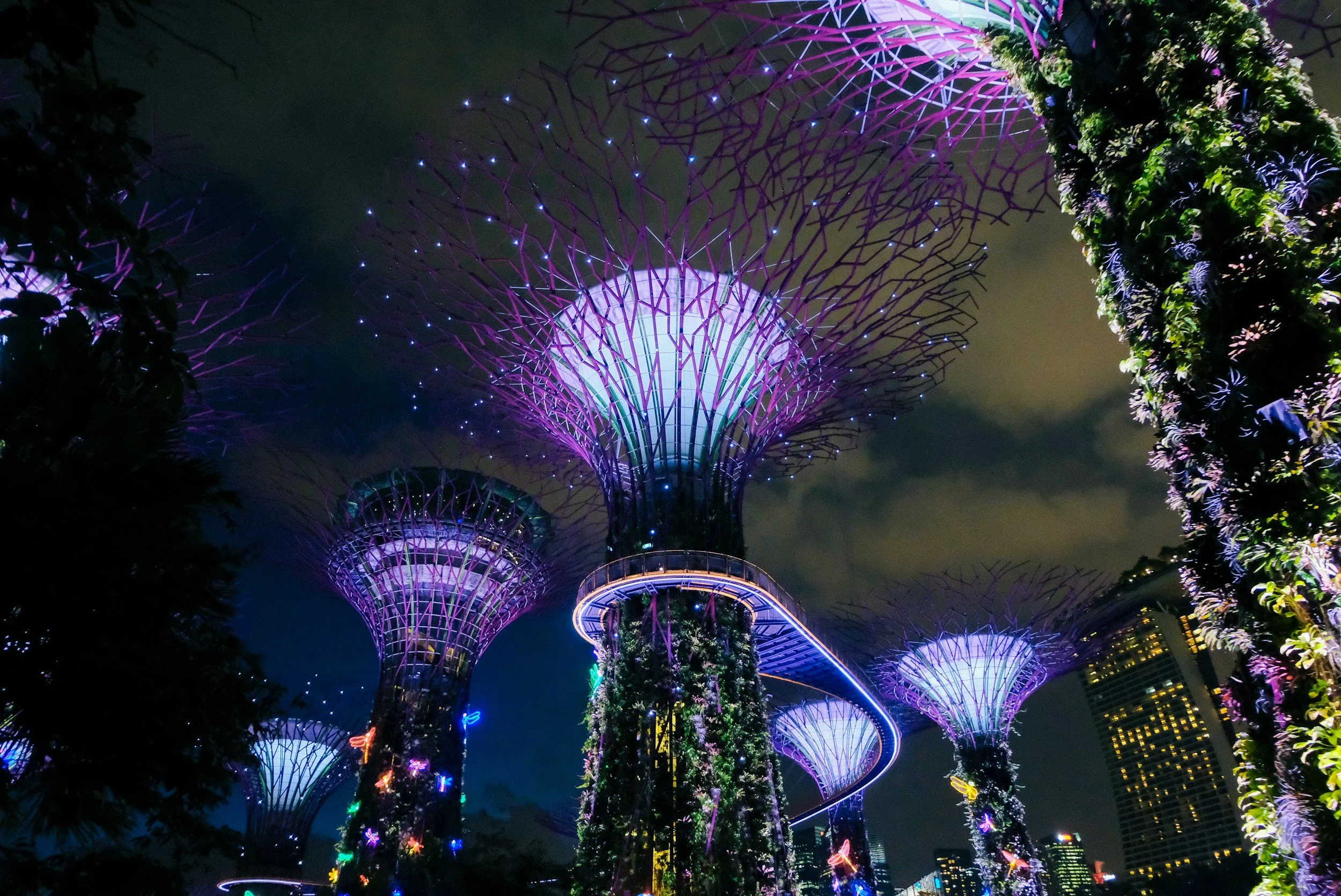 Night view of illuminated Supertree Grove at Gardens by the Bay in Singapore, with towering futuristic tree structures covered in greenery and lights.