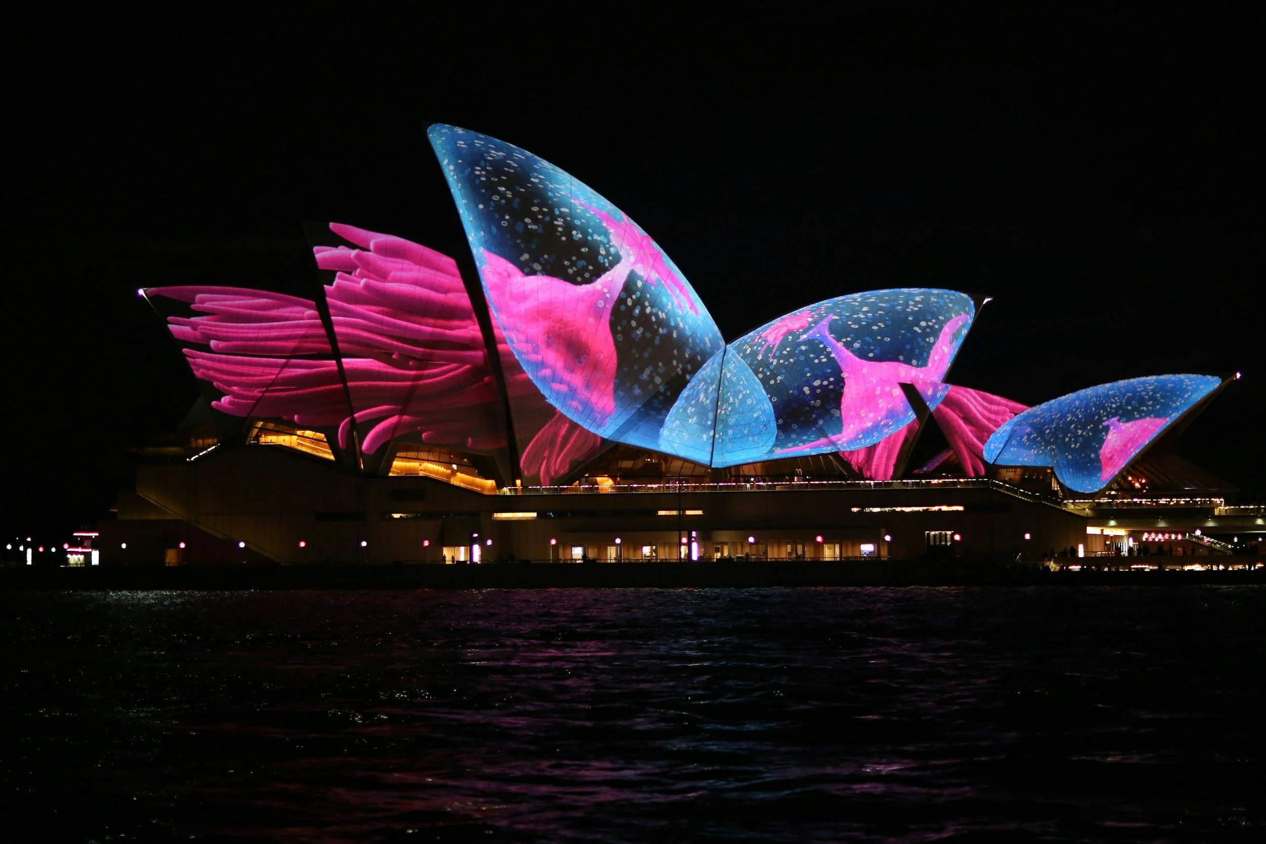 Night view of the Sydney Opera House illuminated with colorful light projections resembling pink and blue whales and coral reef, reflecting on the water.