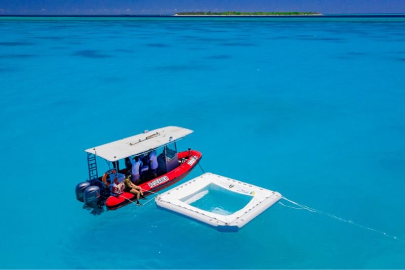 Releasing coral babies from floating pools