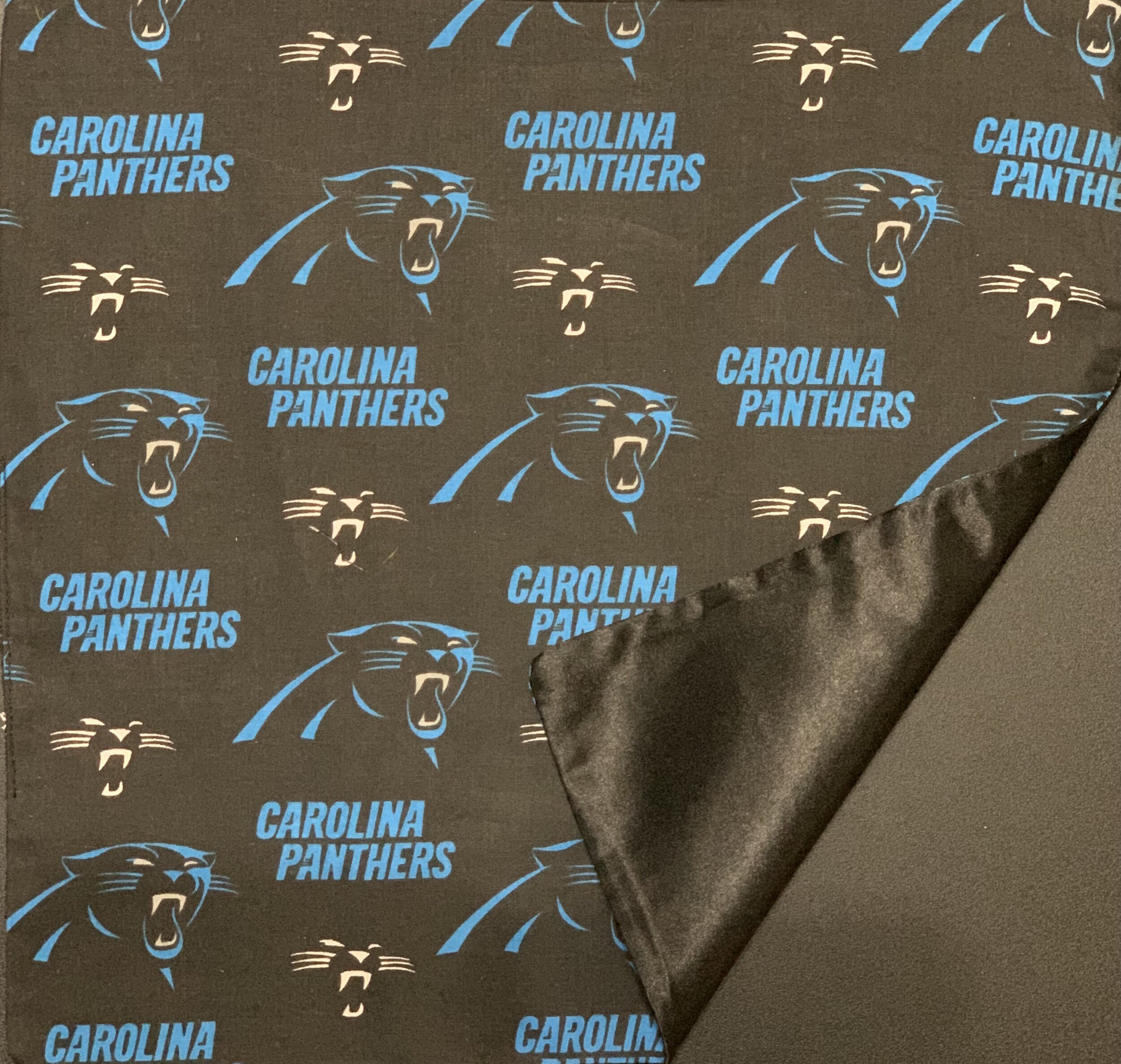Carolina Panthers 1 Pocketsquare R.jpg