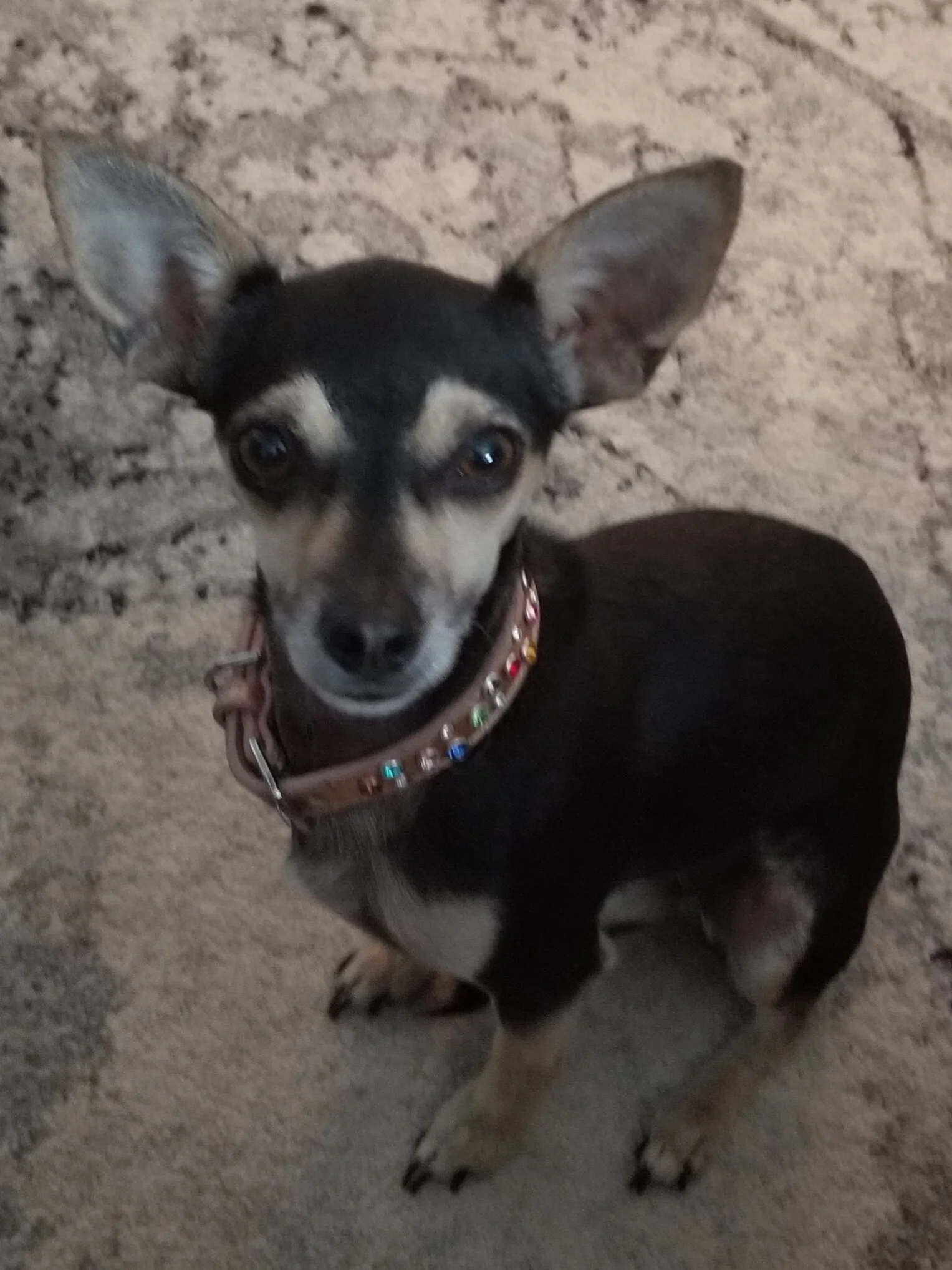 Tini