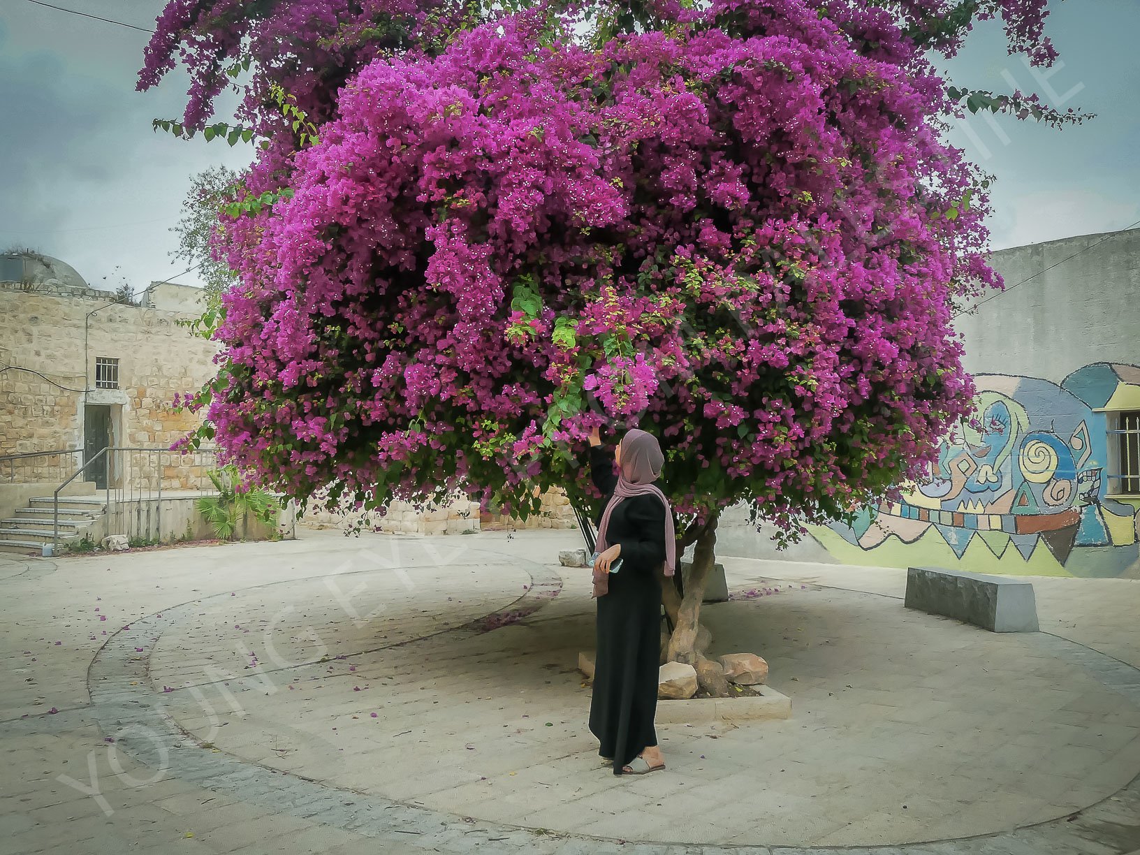Photo 26 by Lujain M..jpg