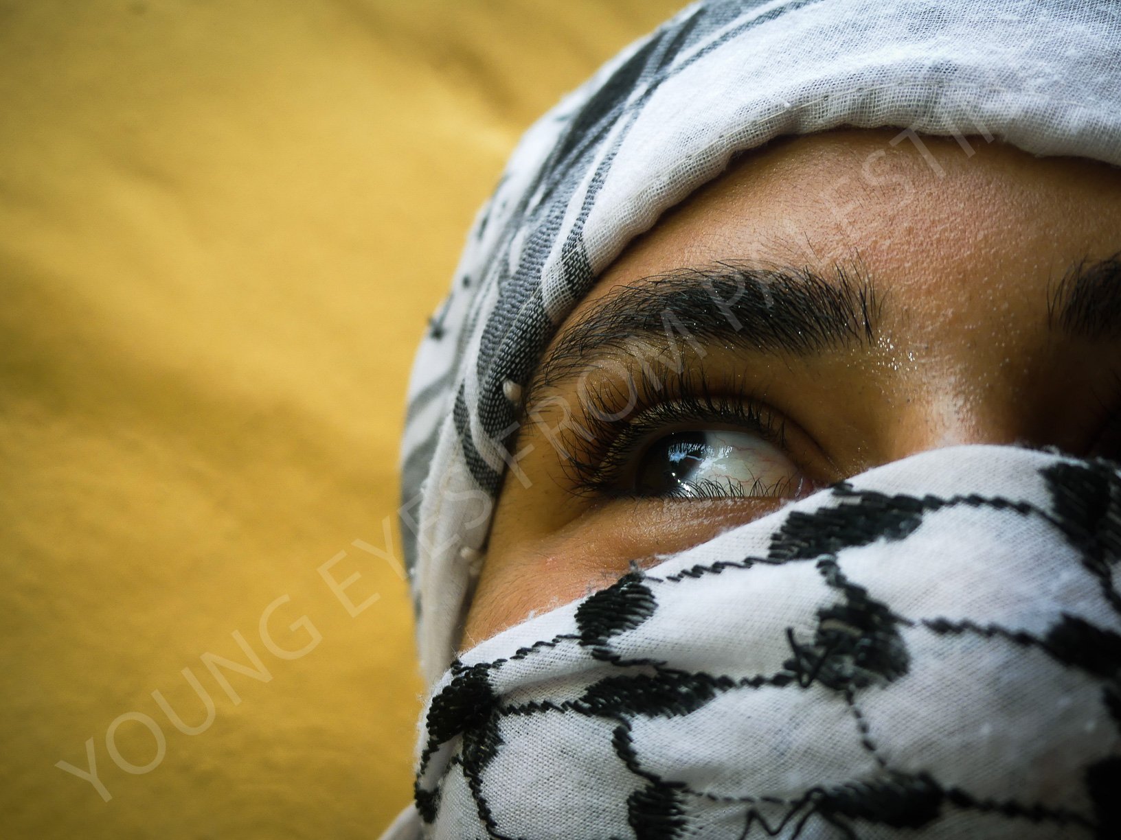 Photo 36 by Russel R..jpg