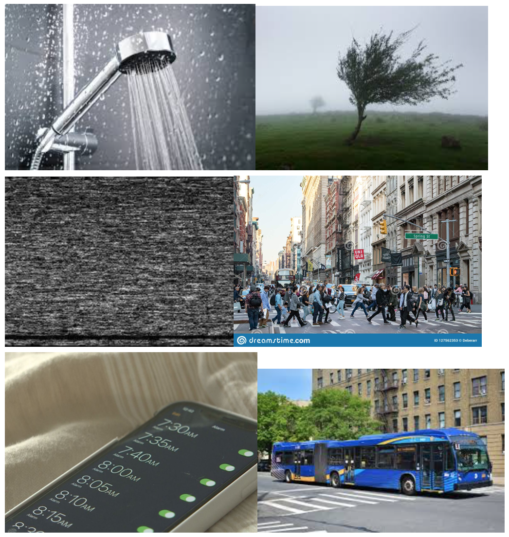 Screen Shot 2021-08-18 at 1.11.51 PM.png