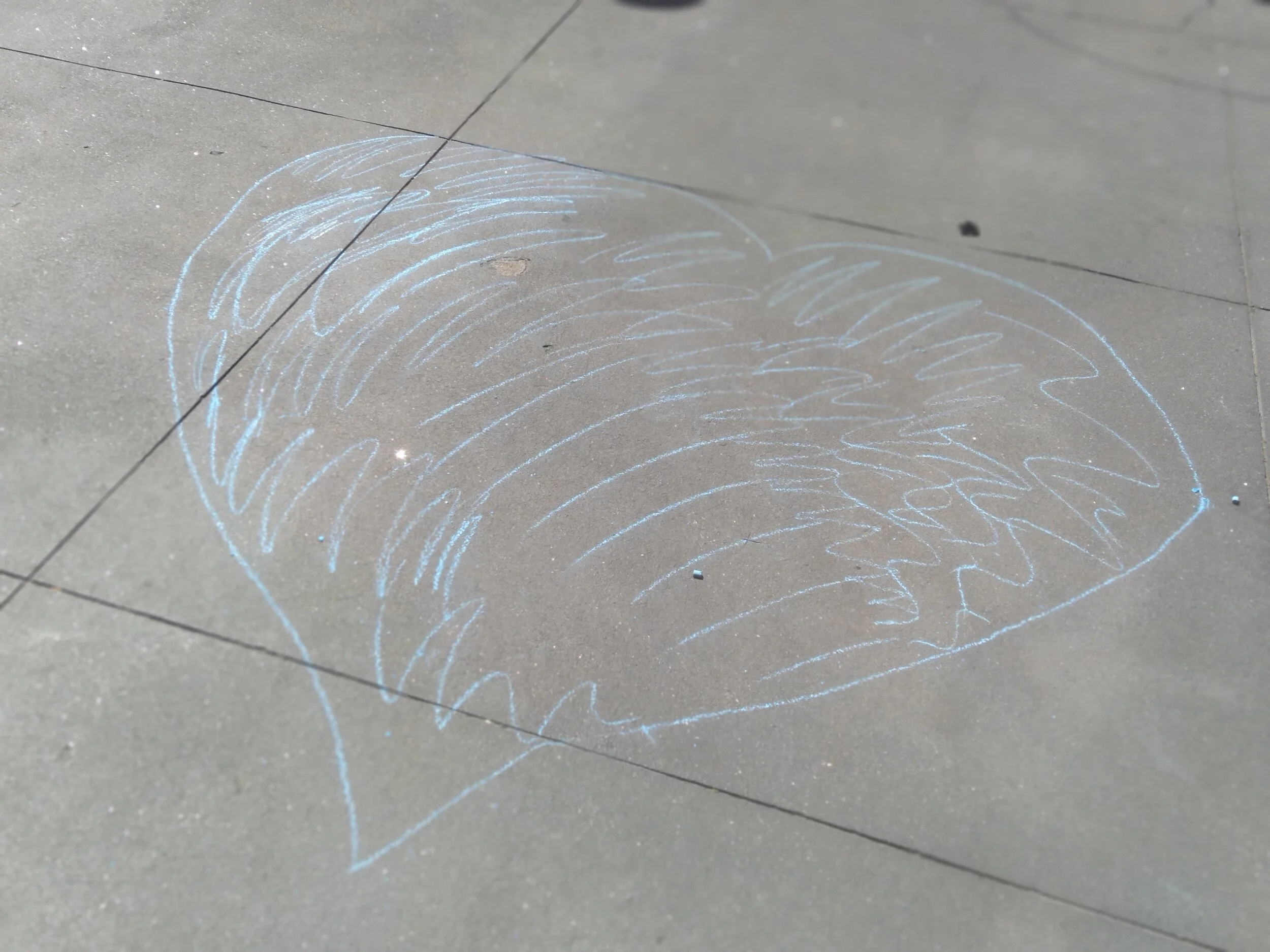 Go to that same favorite spot. Use the chalk to create a shape that people can step into and listen/see/smell/taste/feel their surroundings. (Be sure to use the chalk appropriately in a spot where it can wash off and make sure your artwork is appropr