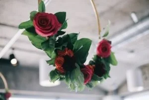 IMG_0879.JPG