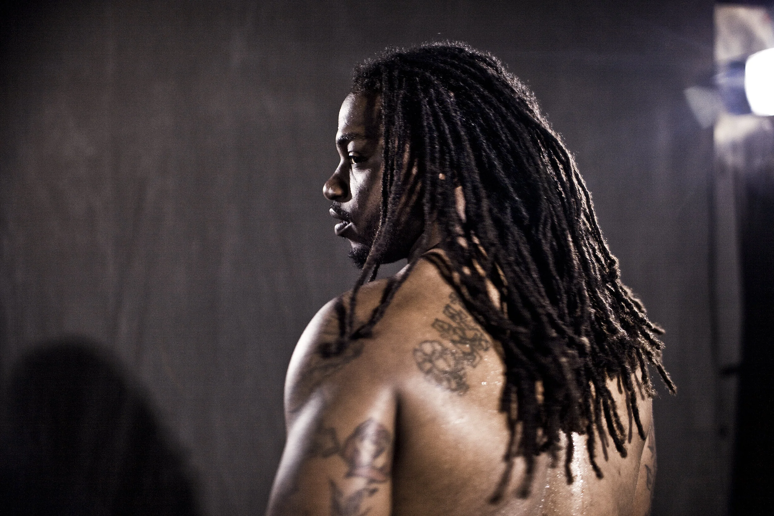 Brandon Meriweather