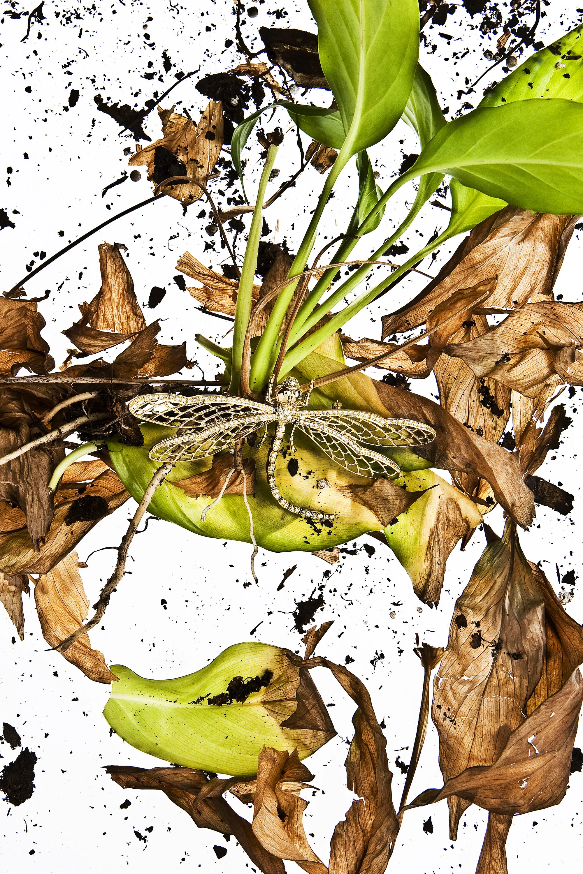 Discarded byTiim Gray-07.jpg