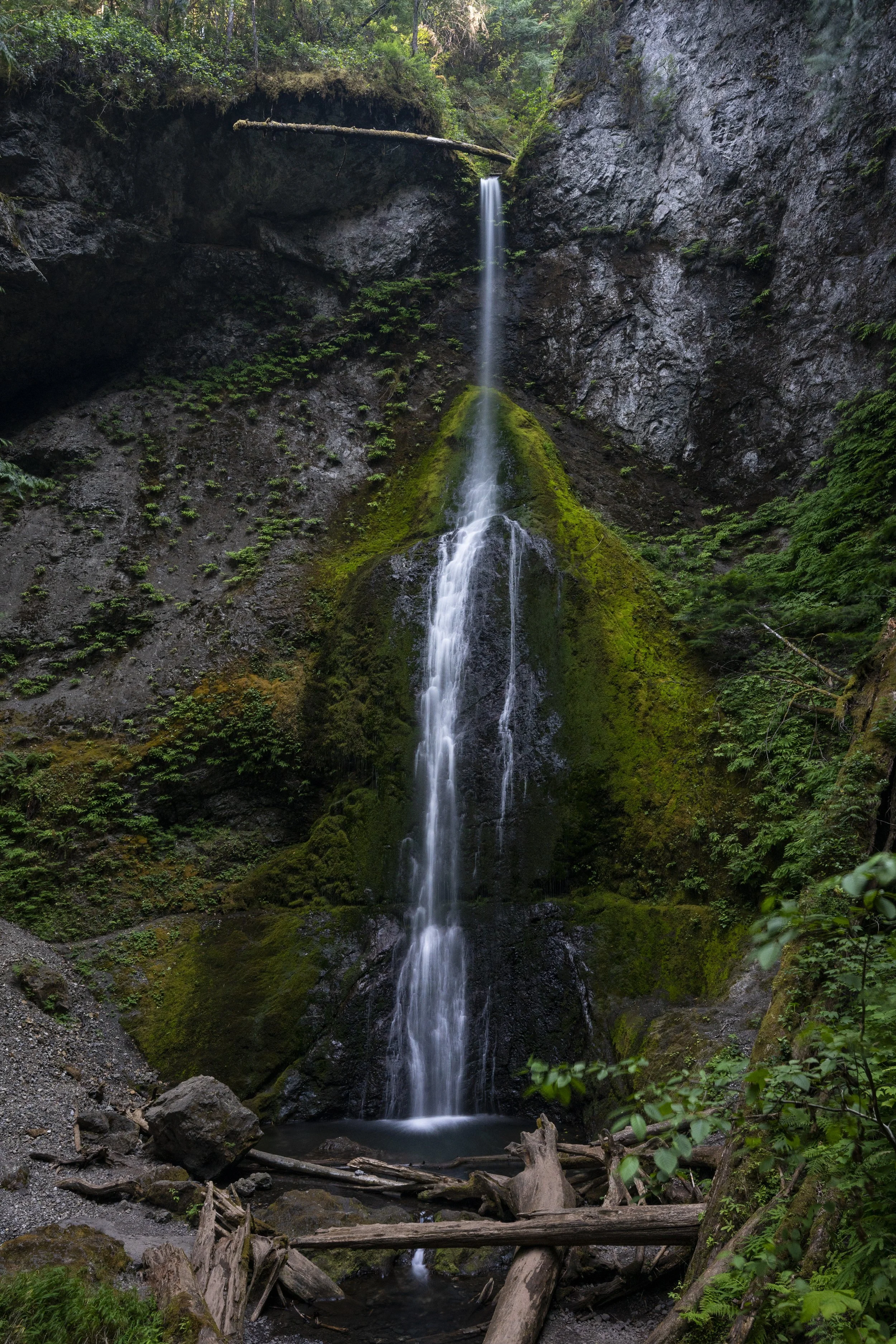 Marymere Falls, Olympic National Park