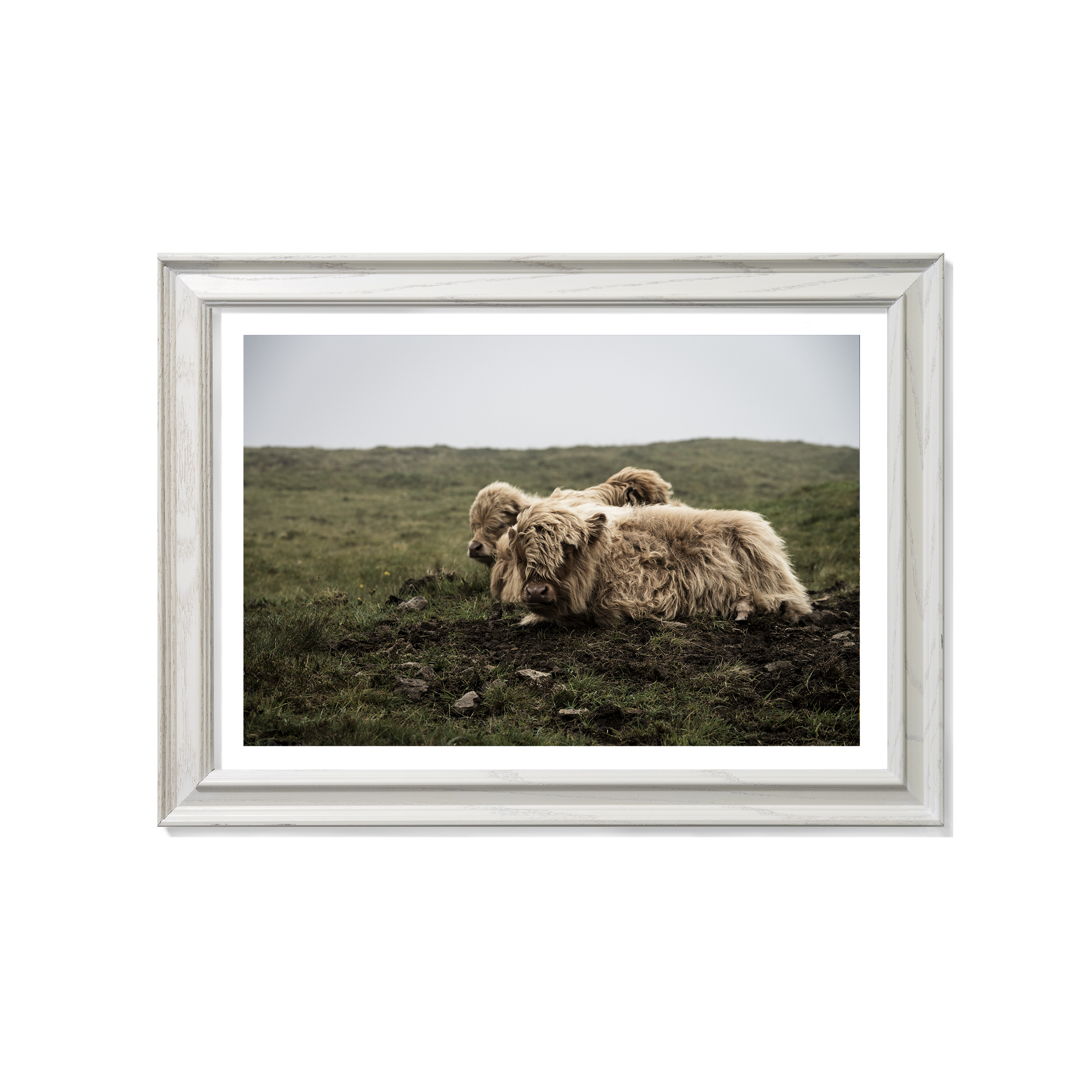 Miðvágur