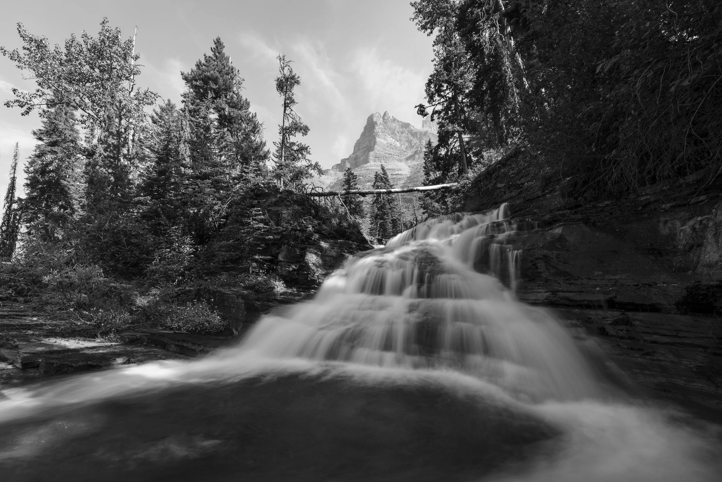 _DSC3991.jpg