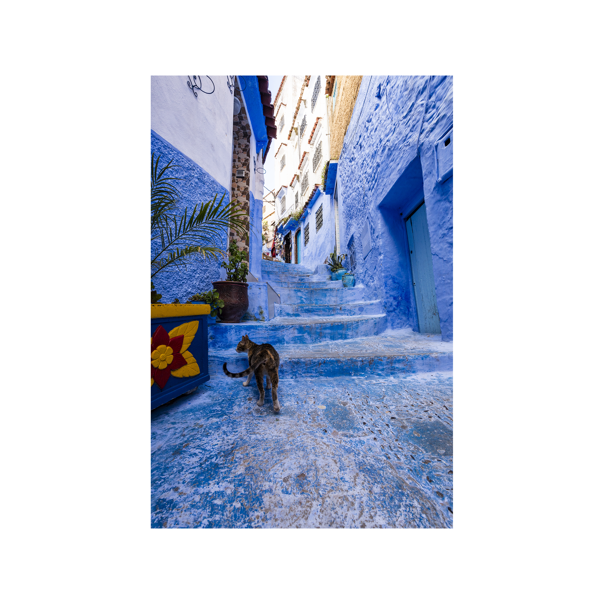 Chefchaouen.png