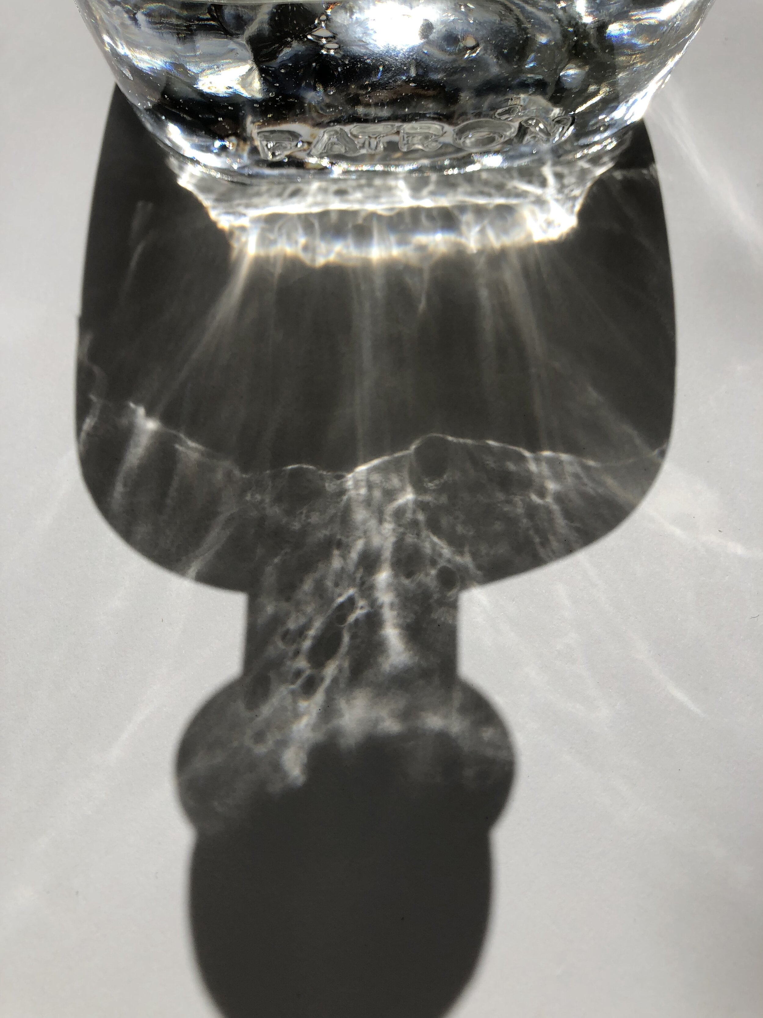 Patron Bottle (15).JPG
