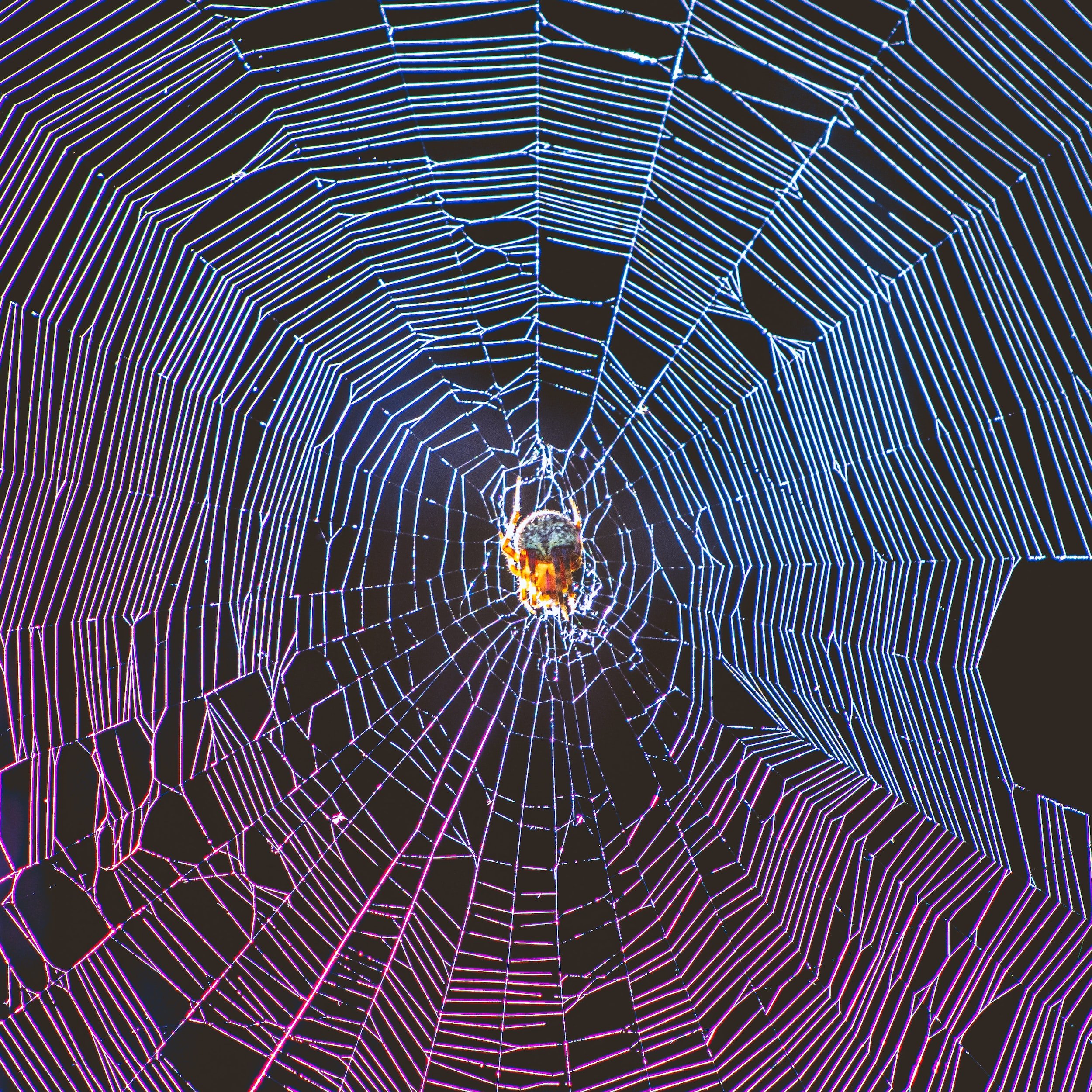 connecting threads