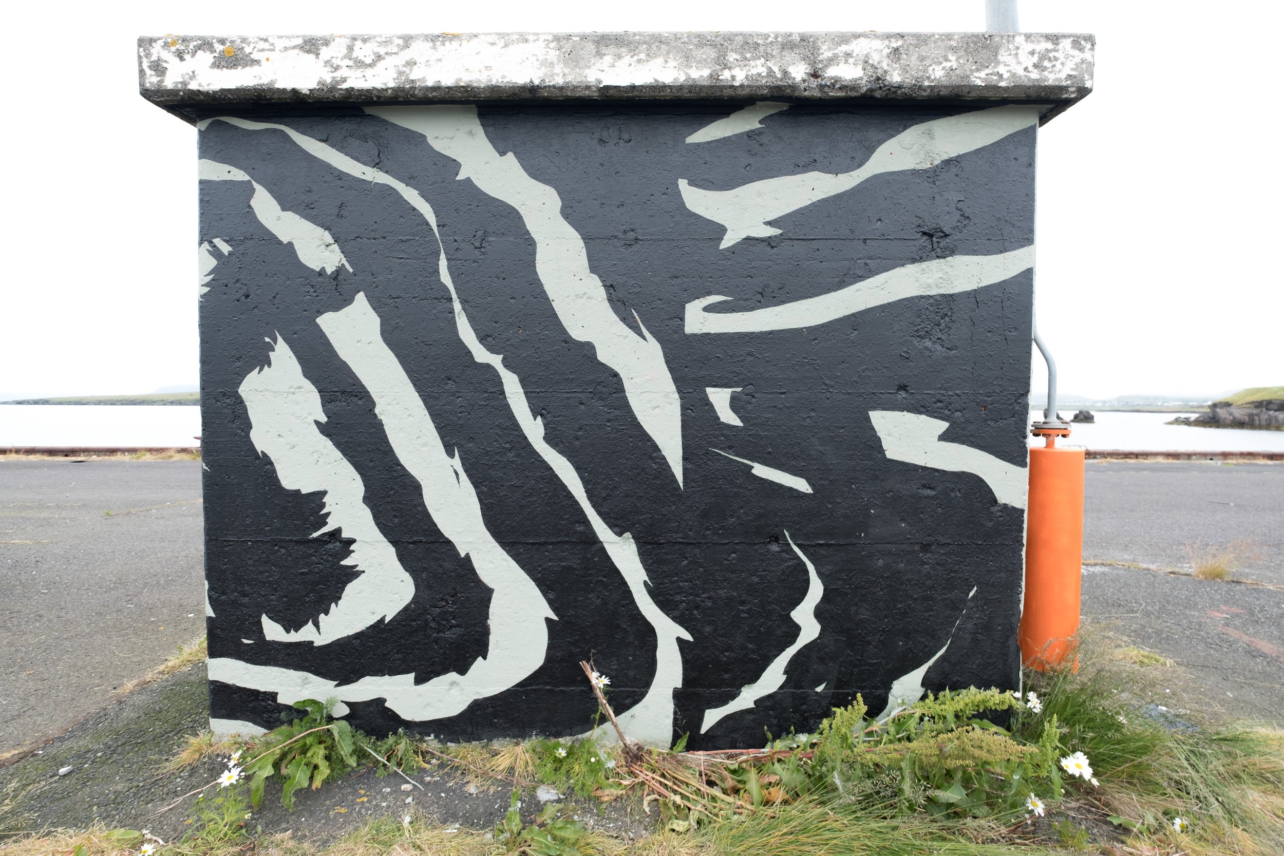 DSCF6456.jpg