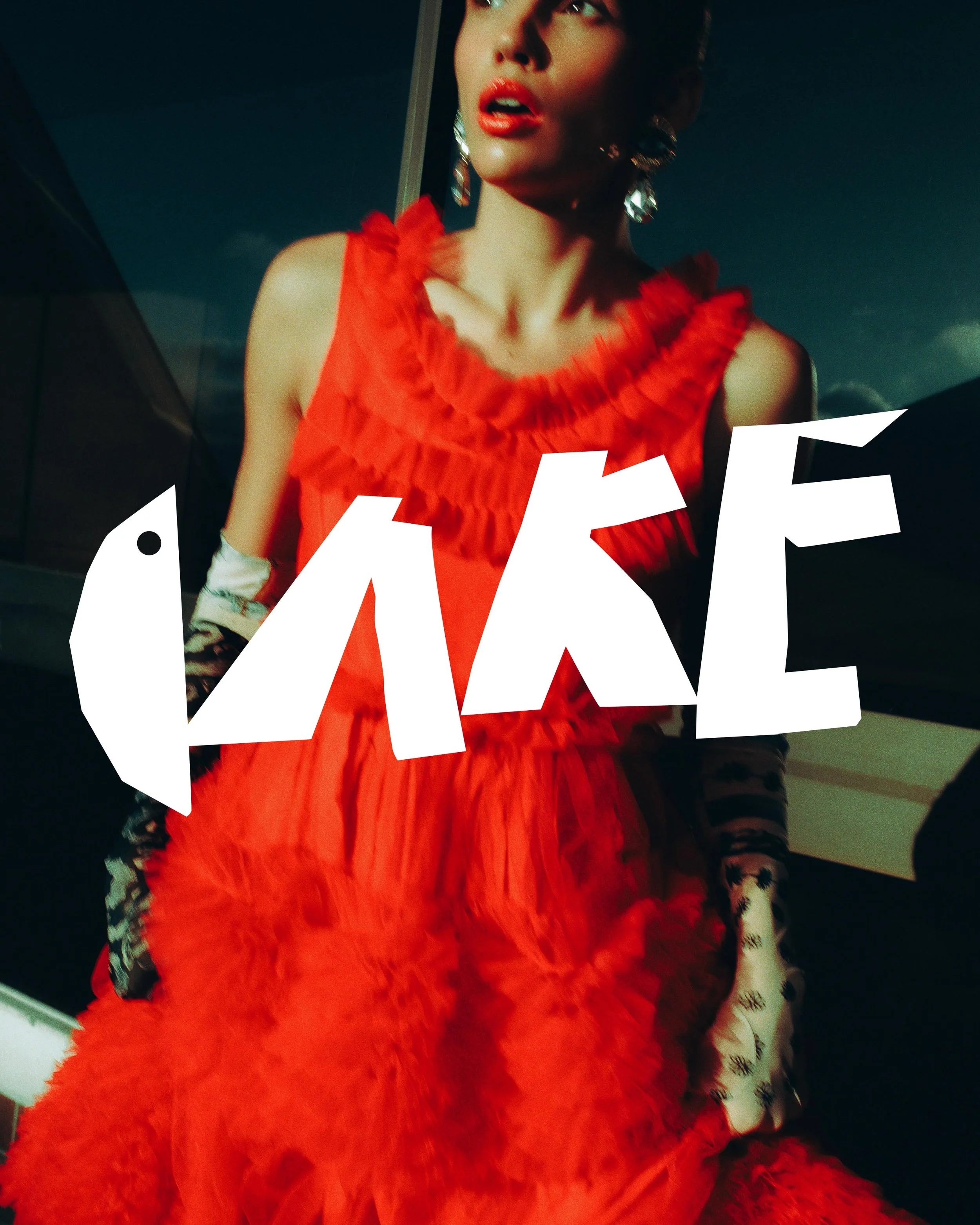 Cake_Mag_24_00.jpg