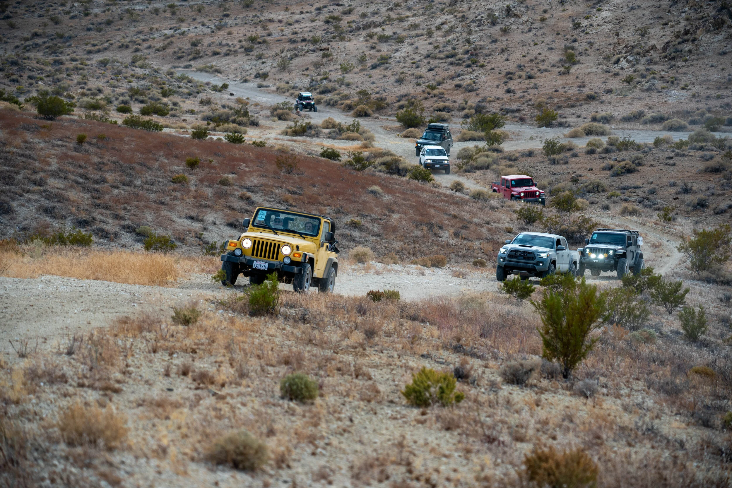 AEC- 2020 Rim of the Desert Expedition-146.jpg