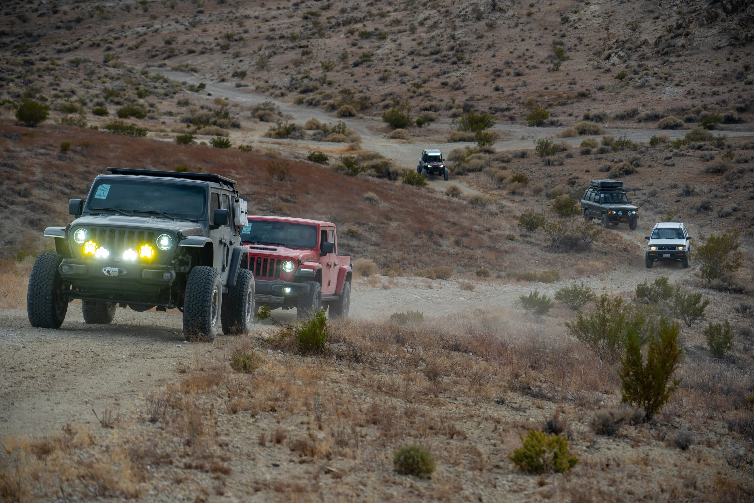 AEC- 2020 Rim of the Desert Expedition-148.jpg