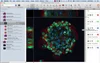 Volocity Quantitation — Volocity Software