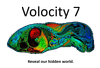 Volocity Software