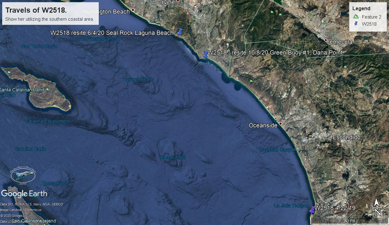 W2518, like W2113, appears to like the whole coastal southern California marine environment, unlike W2565, who favors Long Beach Harbor.