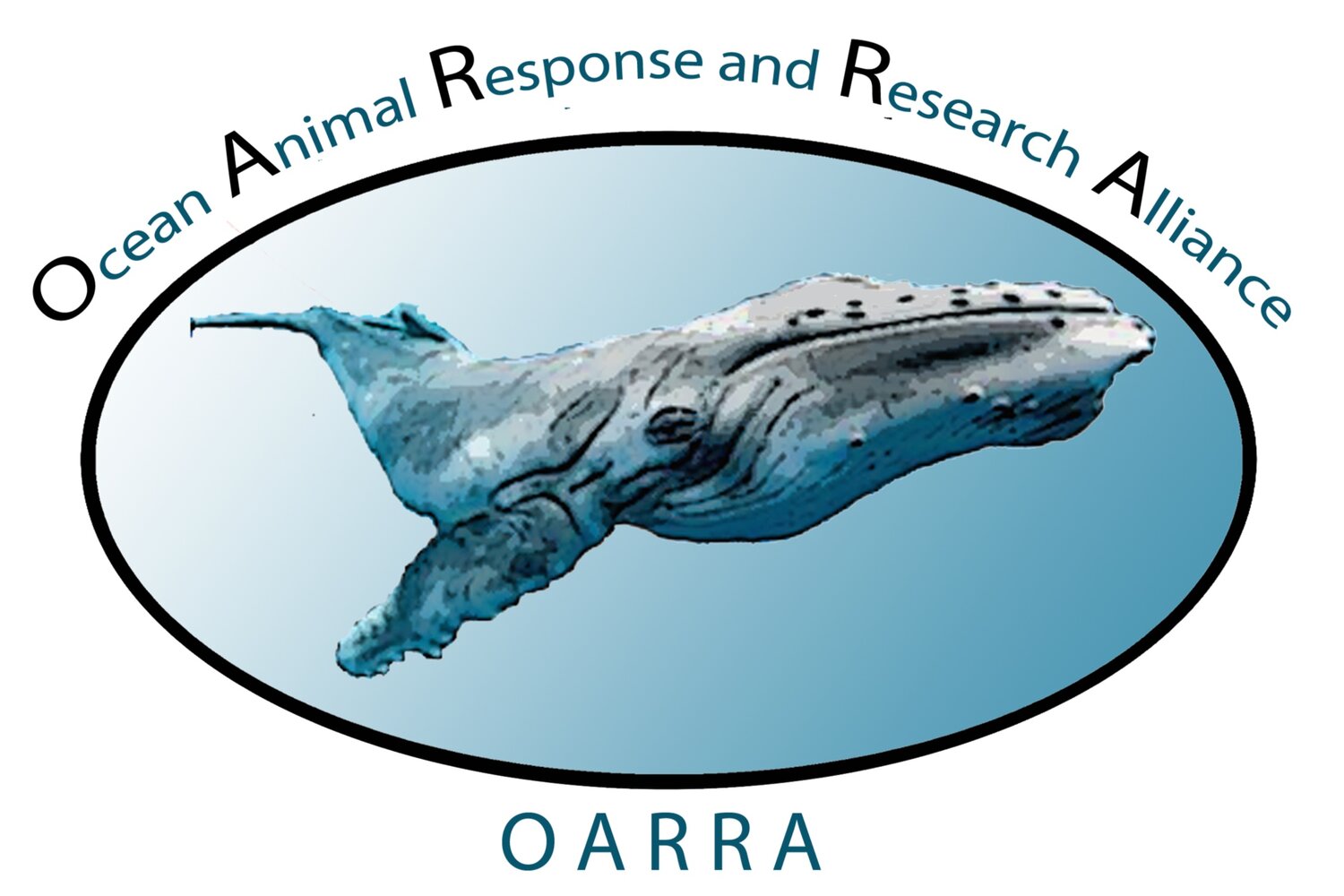 Ocean Animal Response and Research Alliance