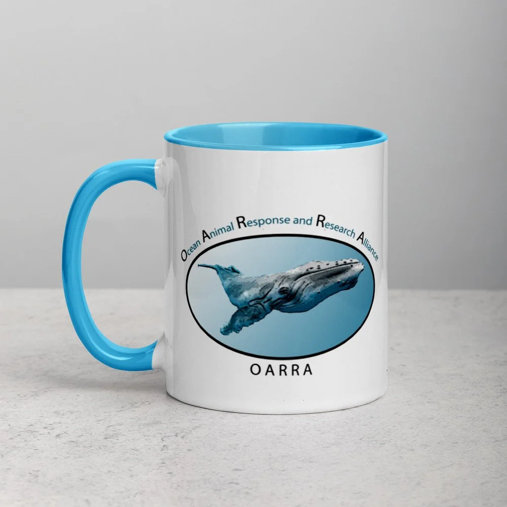 white-ceramic-mug-with-color-inside-blue-11oz-left-6254cf24d5def.jpg