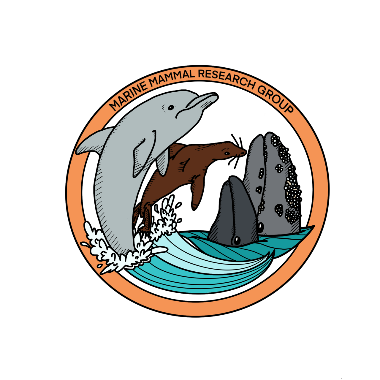 Marine Mammal Research Group @ OCC