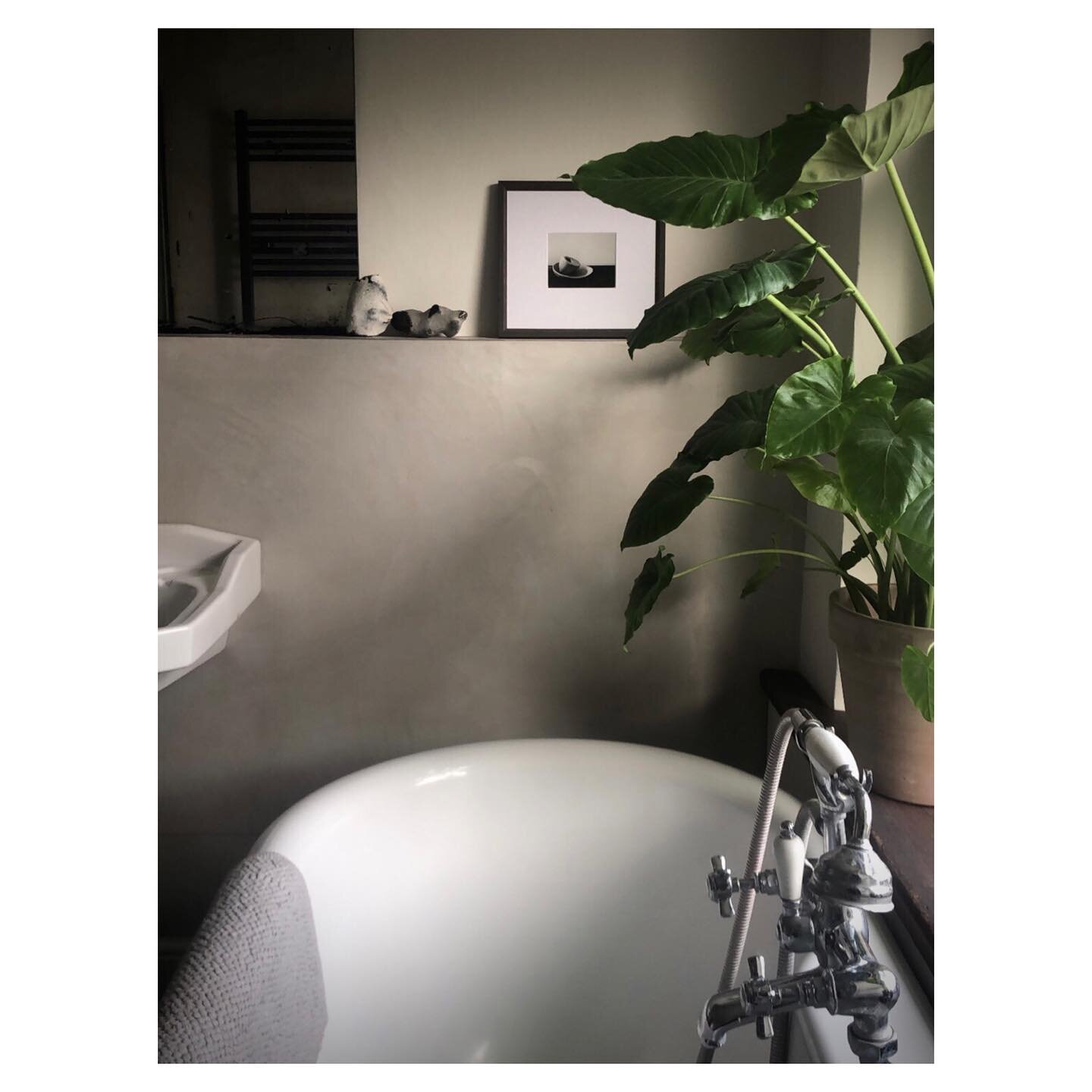 Our elephant ear is settling in nicely to it&rsquo;s new home beside the tub 🪴