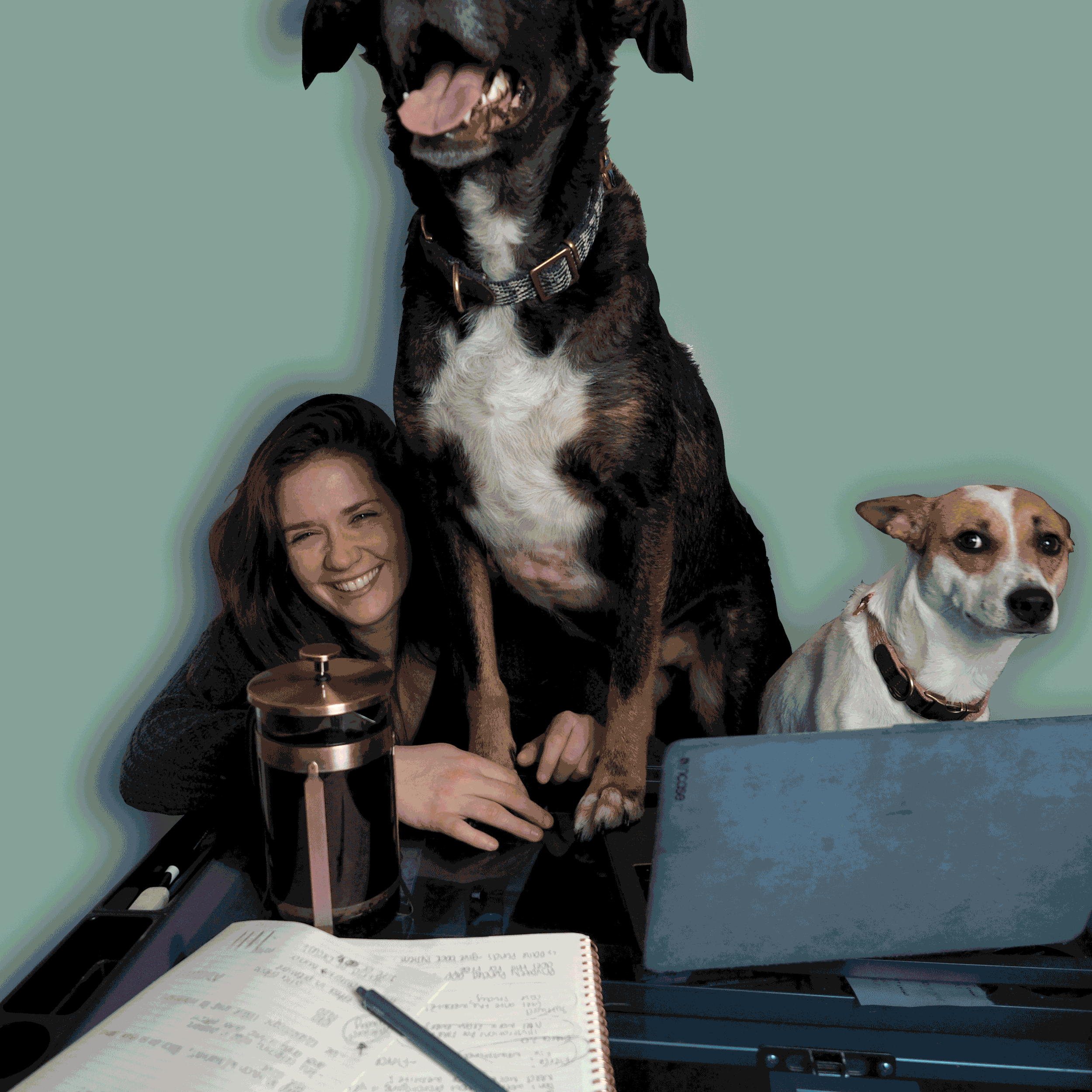 Personality-Portrait.gif