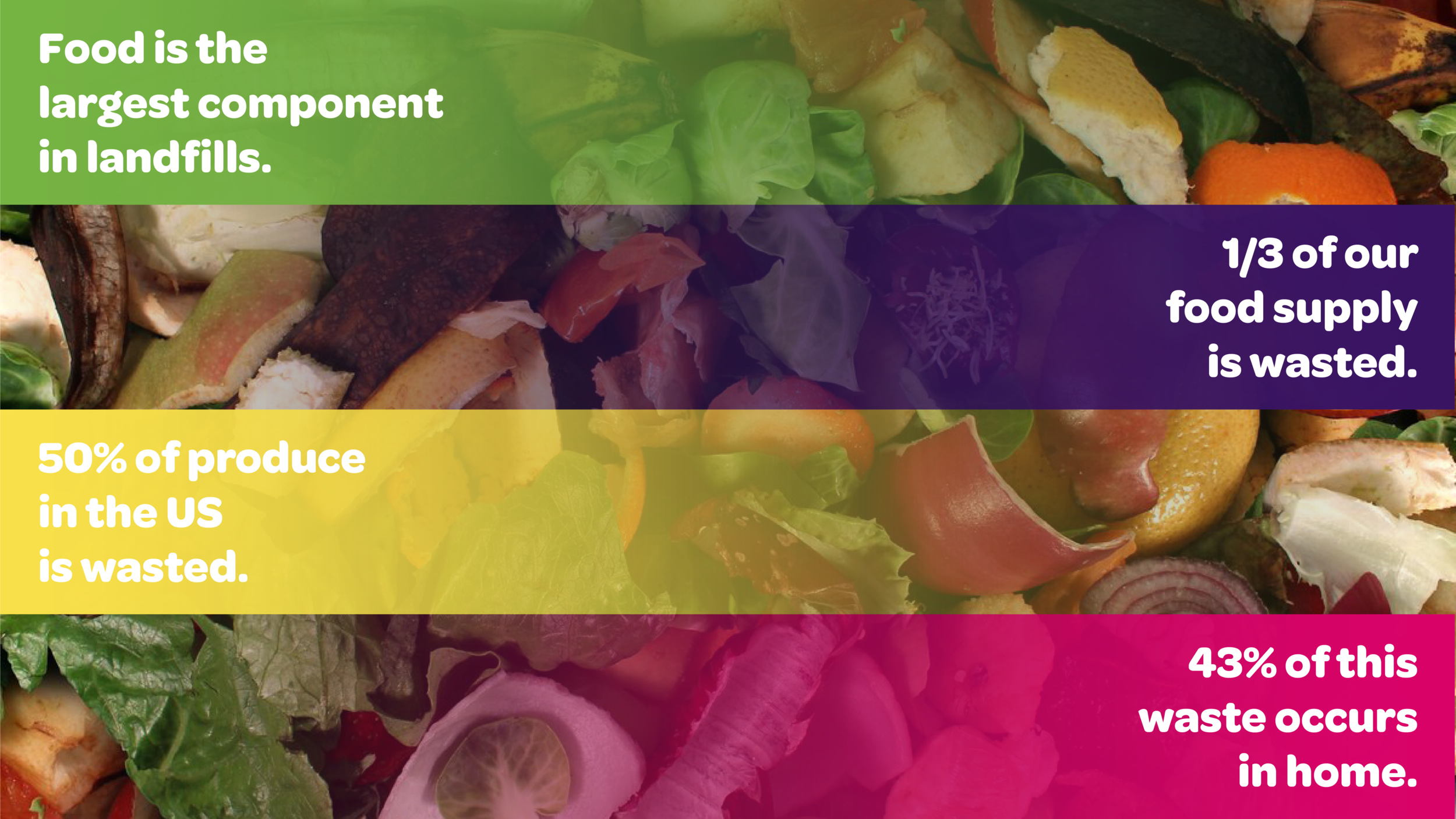 Food Waste Infographic-01.png