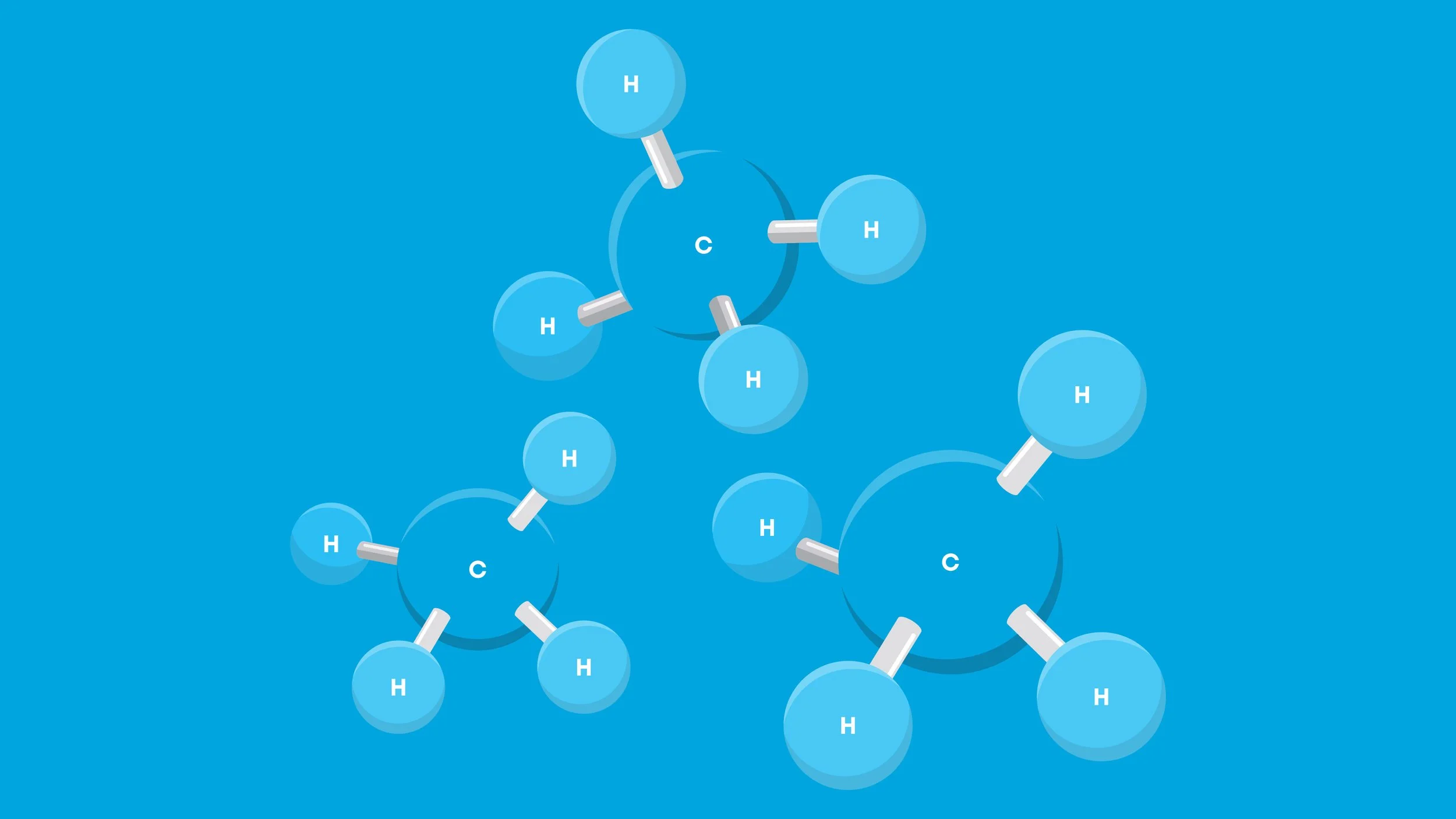 NFE Illustrations
