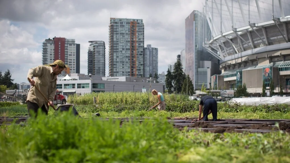 Snapshot: Strengthening Climate Resiliency in Public Spaces