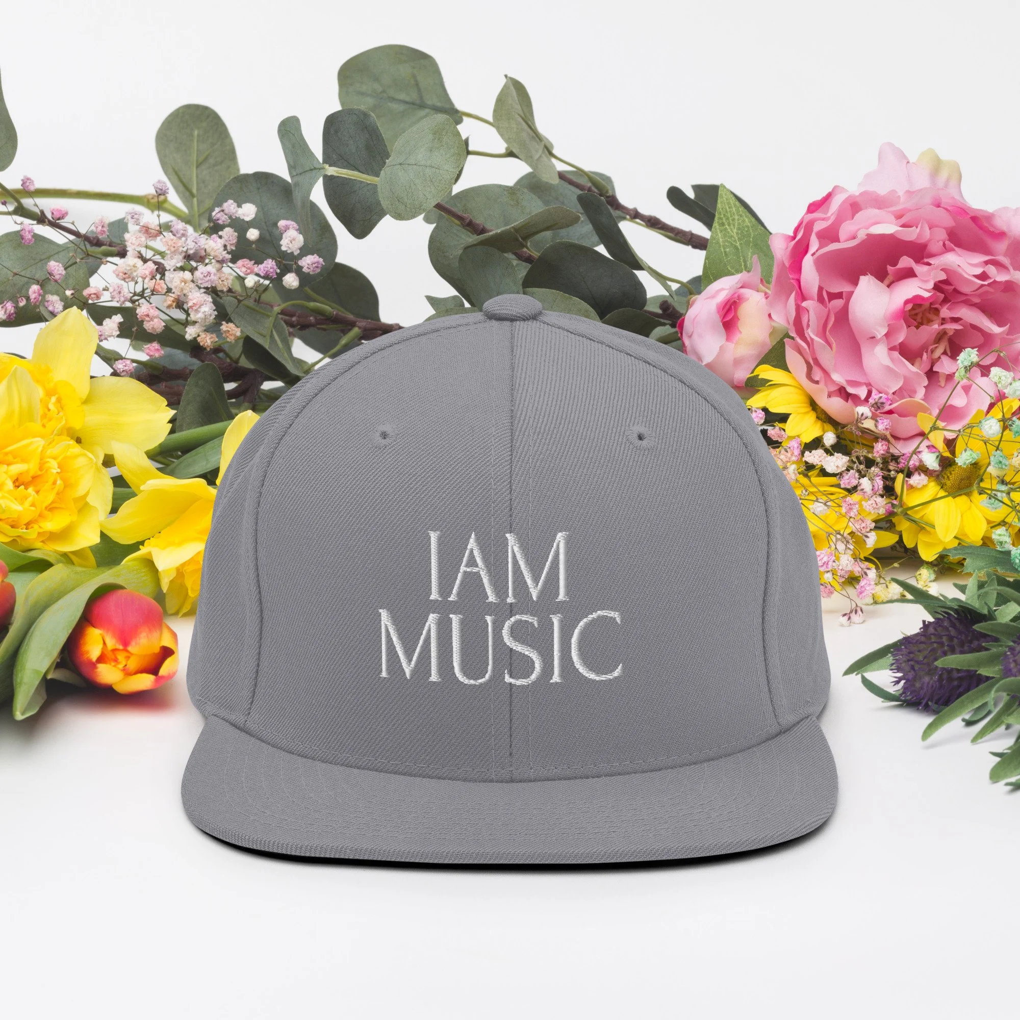 classic-snapback-silver-front-66bccb5e14bde.jpg
