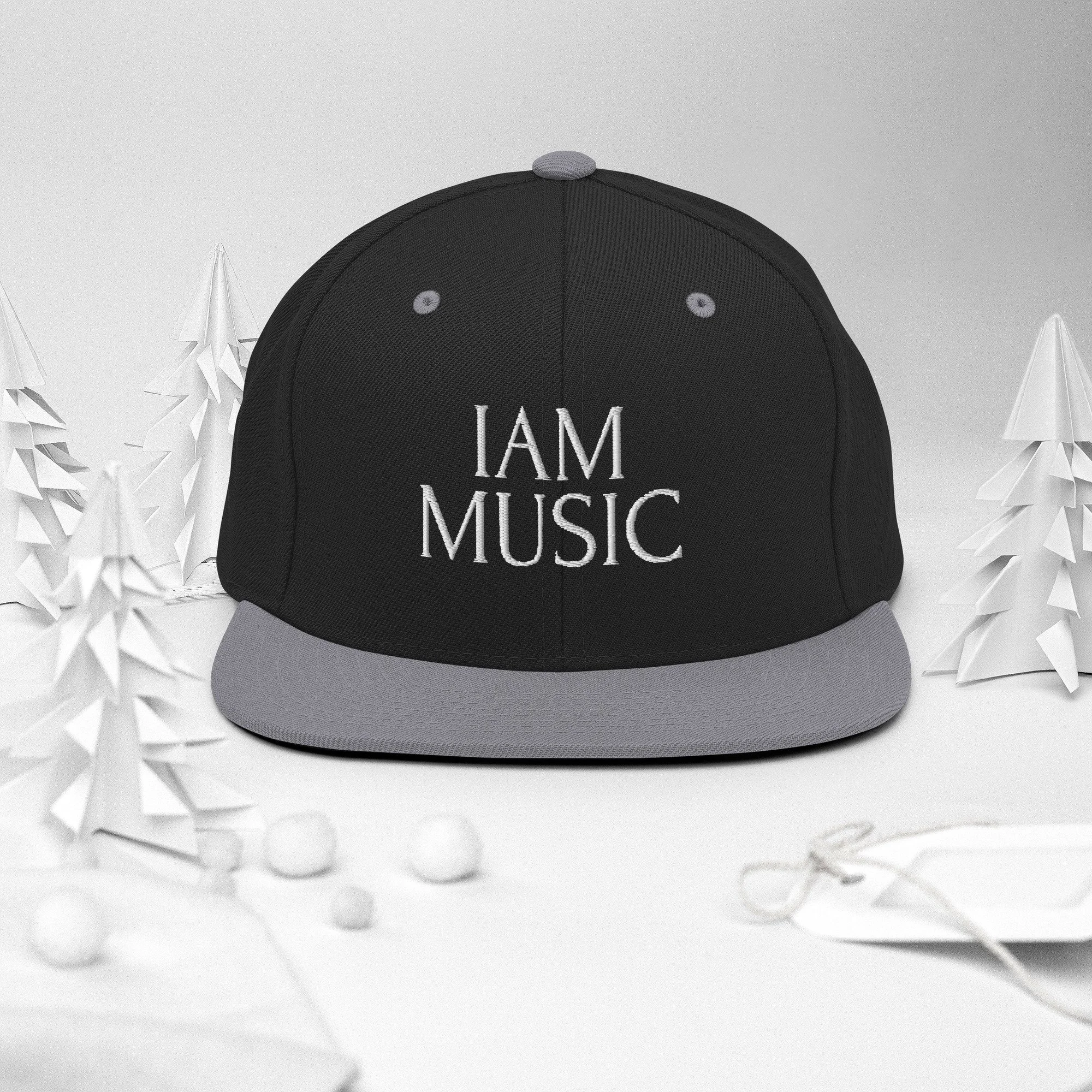 classic-snapback-black-silver-front-2-66eaf172abc61.jpg