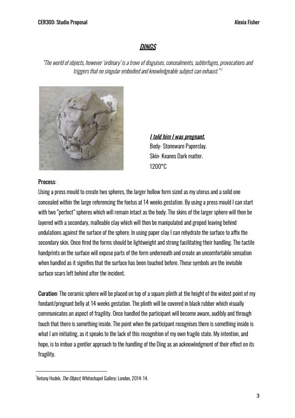 CER300 studio proposal, Purge. AlexiaFisher 5.jpg