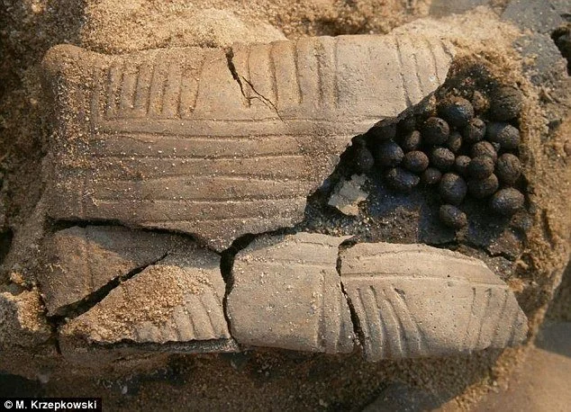 pillow rattle poland.jpeg