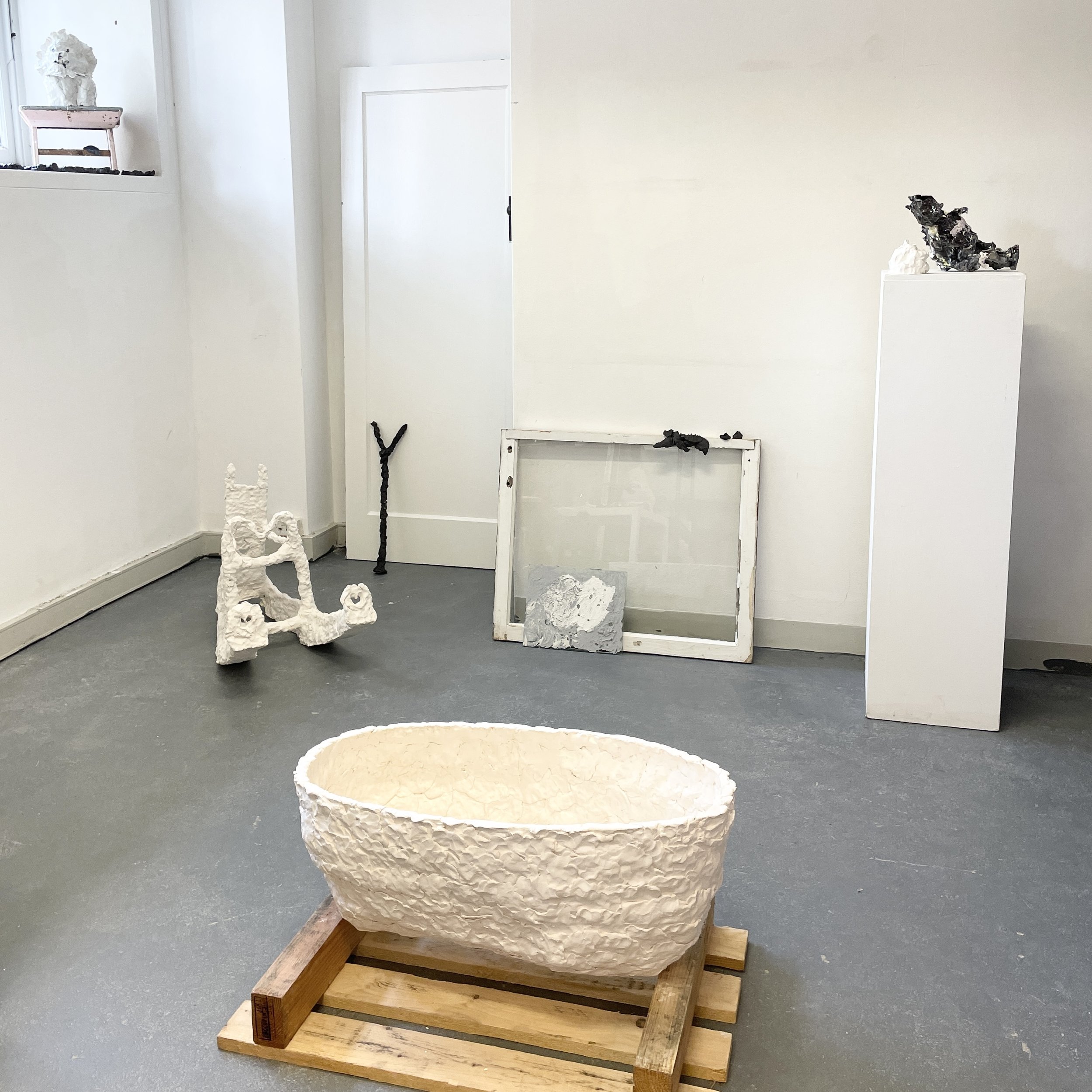 IMG_4631.jpg