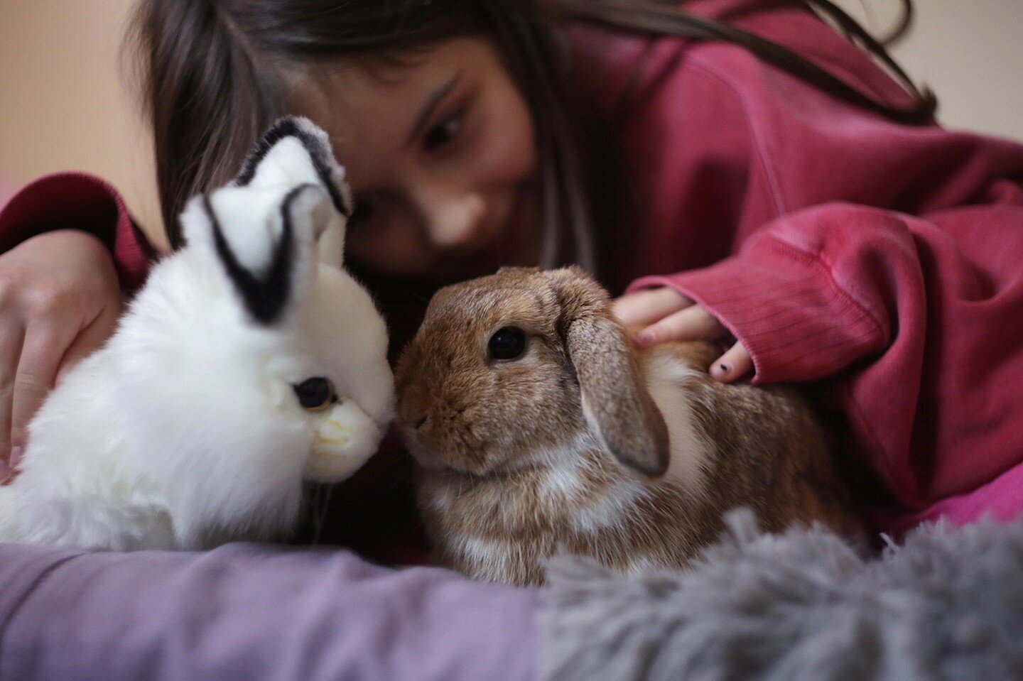 Pretend play...fostering perspective-taking, empathy, negotiation skills and cooperation. Coco the bunny isn't having it. 
.
.
.
.
.
#documentyourdays #documentaryphotography #seattlefamilyphotographer #dfpcommunity #seattledocumentaryphotographer #p