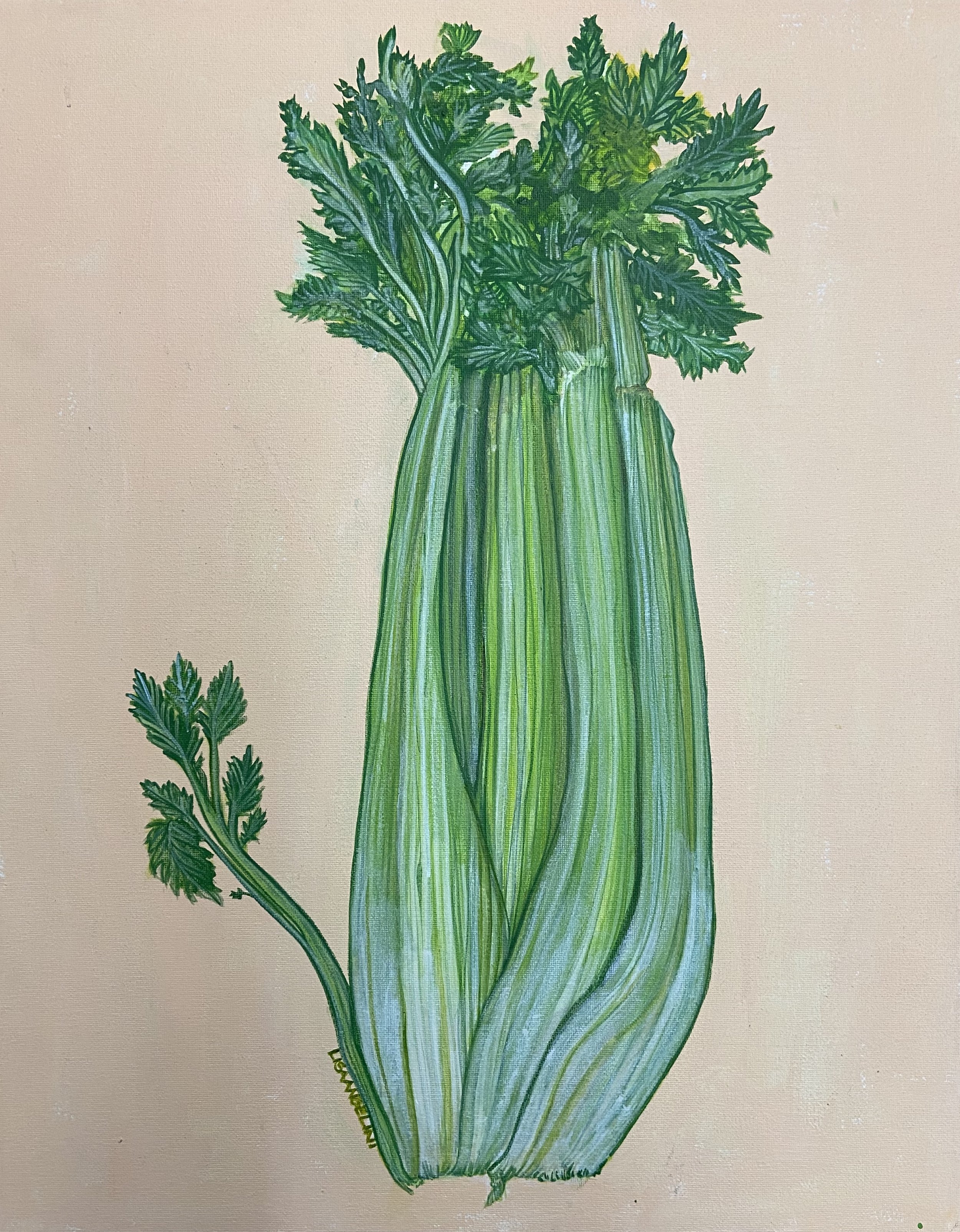 Lisa Angelini Studio_celery_1.jpeg