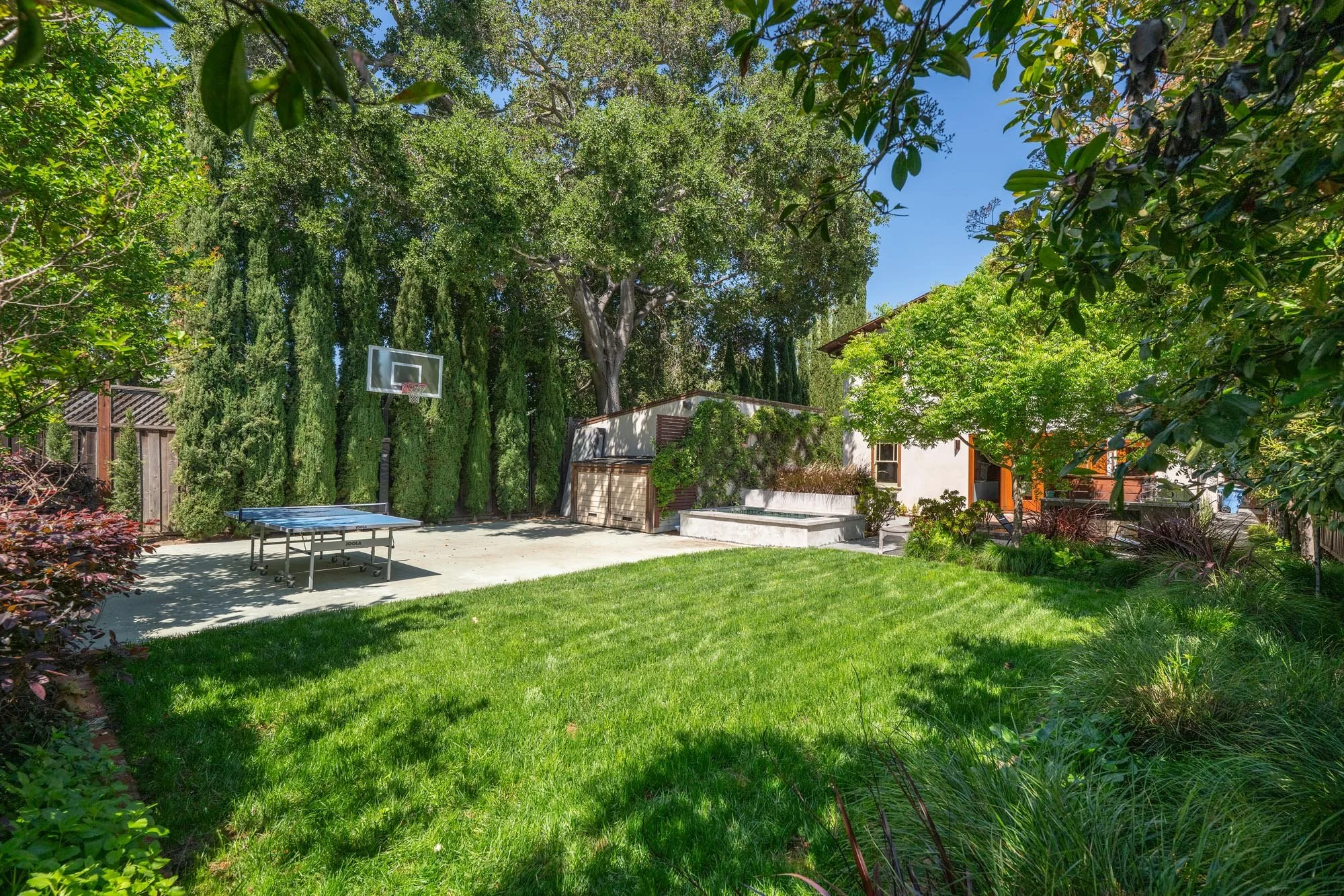 40 - Back Yard    - 734 Guinda.jpg