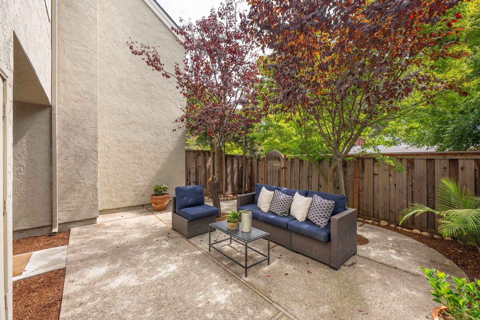 12_24 - Back Yard - 913 Cowper.jpg