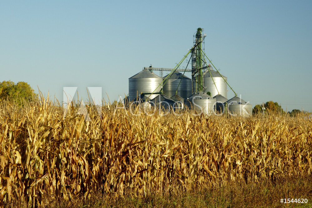 Episode 5: Biofuels 101