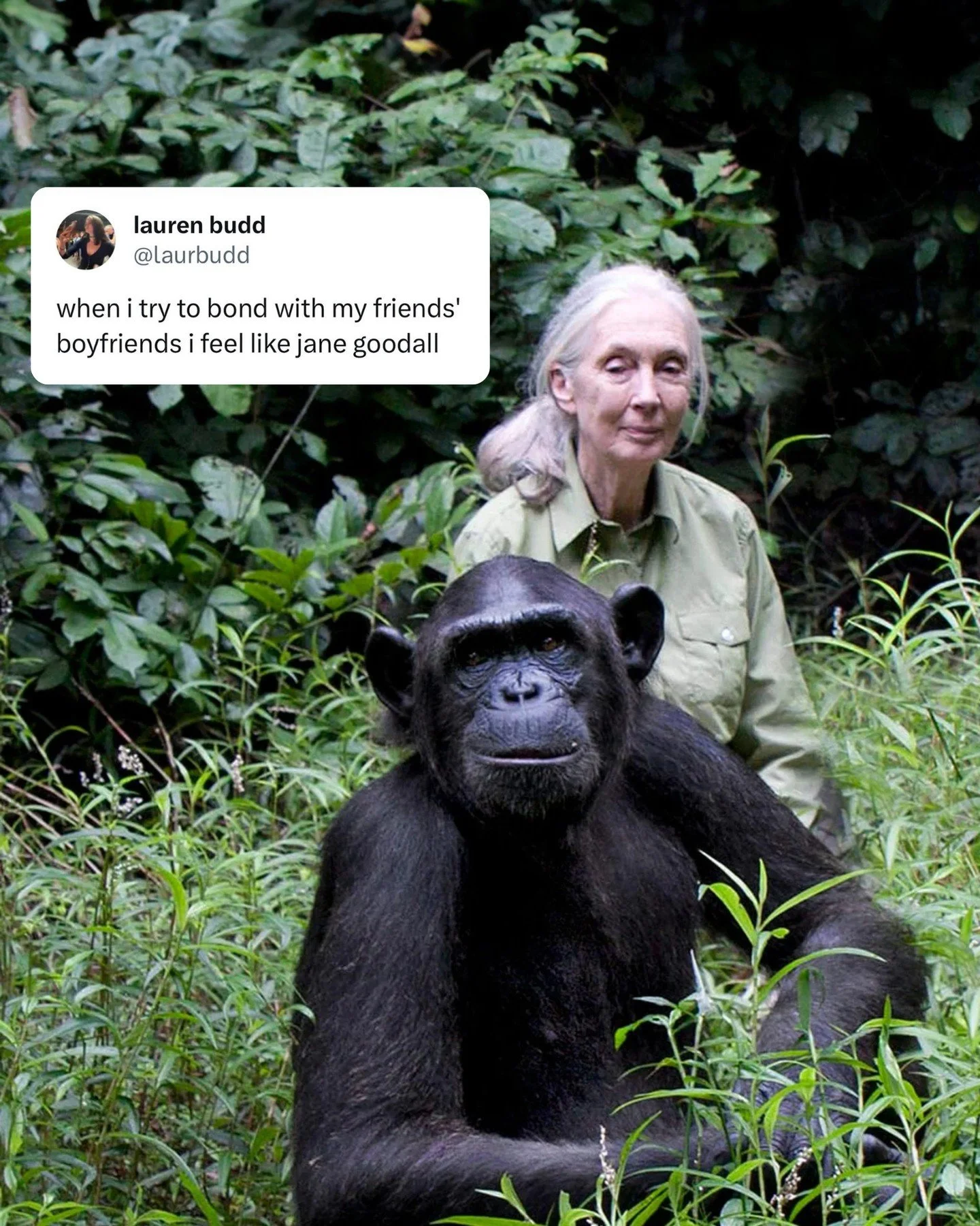 we've lost a diva, thank u Jane for teaching the world that you can build bonds with creatures who from the outside seem so different to us. It's a lesson I take with me when I date straight men x
