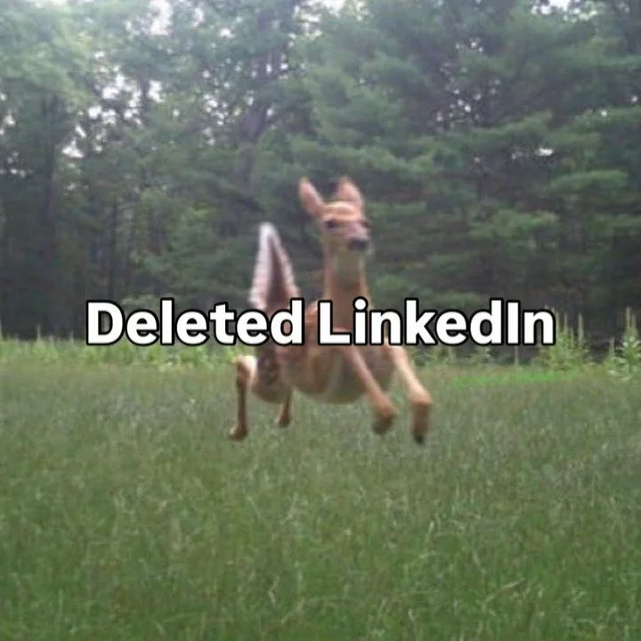 My wish for my children is that they never learn what linkedin is #funemployment