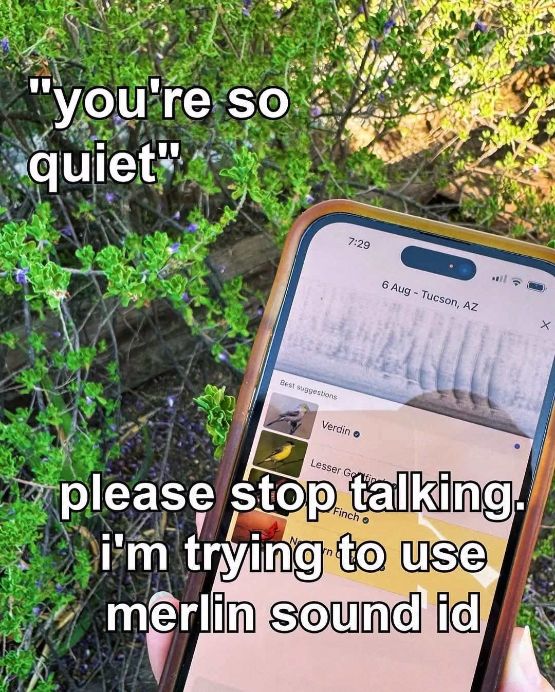 I'm obsessed with her... nature shazam lets goooo